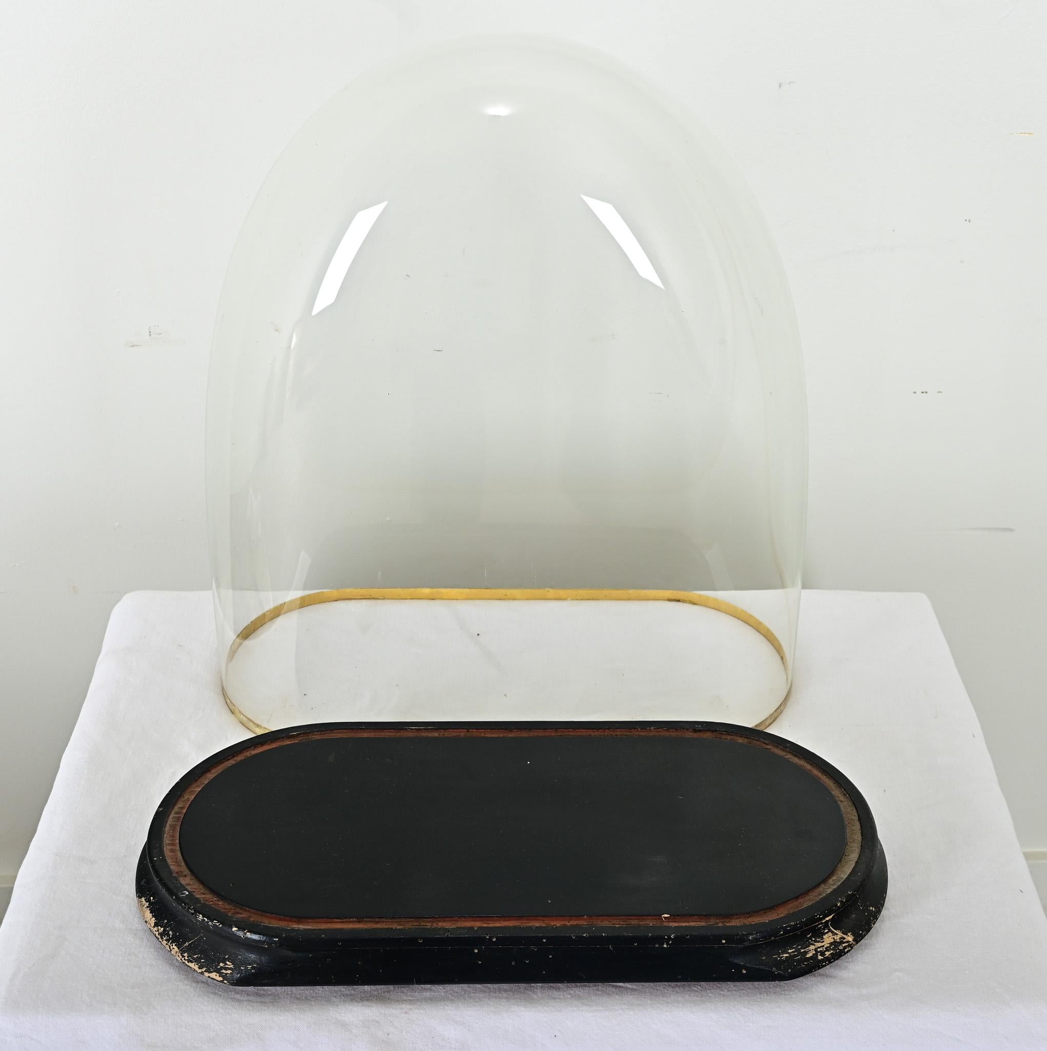 Other French 19th Century Glass Cloche on Pedestal