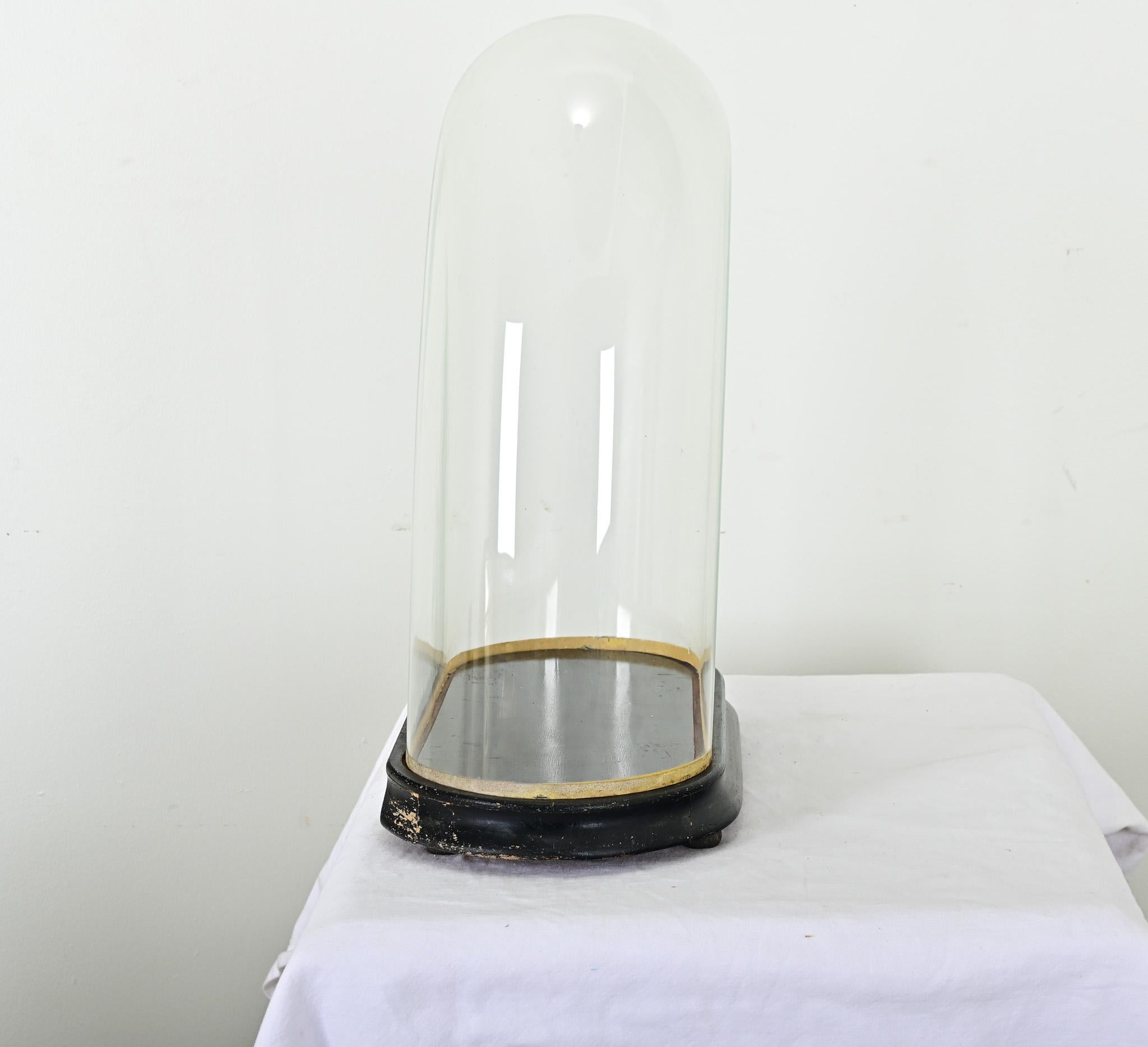 French 19th Century Glass Cloche on Pedestal In Good Condition In Baton Rouge, LA