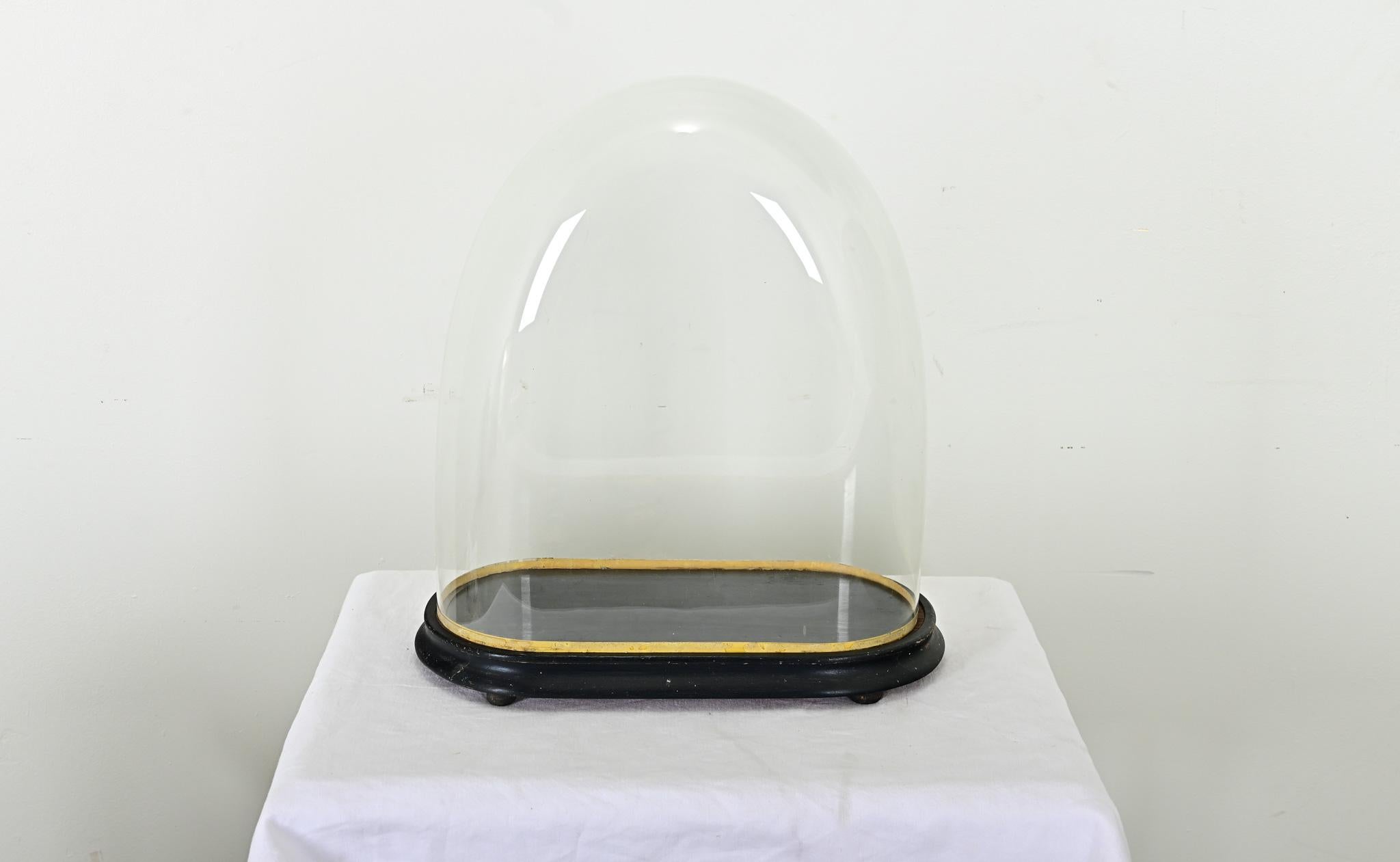 French 19th Century Glass Cloche on Pedestal 2