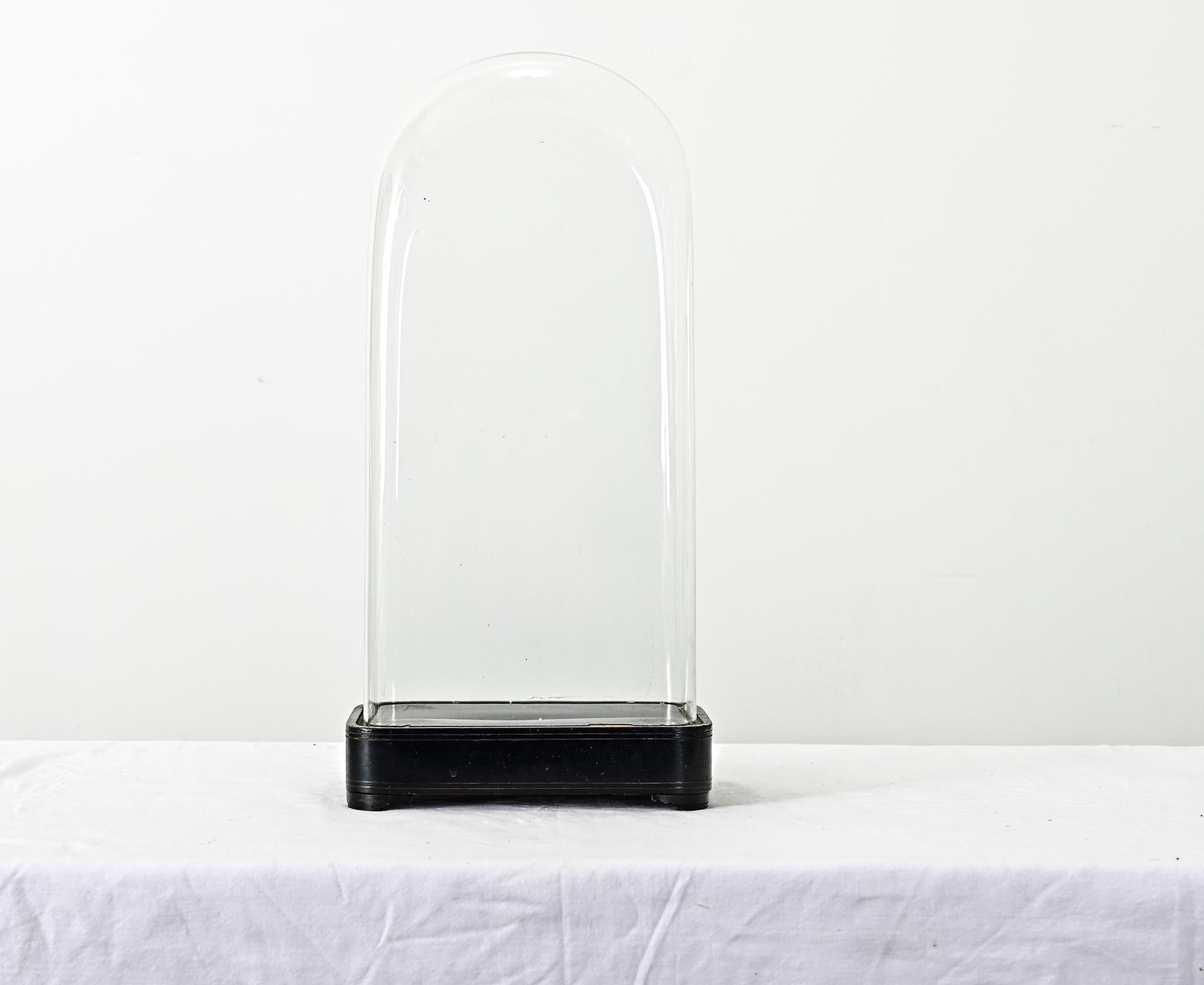 Exhibe y protege tus objetos más preciados con esta exclusiva cúpula de cristal procedente de Francia. De finales del siglo XIX, las vitrinas como ésta protegían los relojes de pórtico o los especímenes de flora y fauna del polvo, el hollín y los