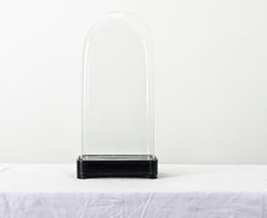 French 19th Century Glass Dome on Ebonized Stand