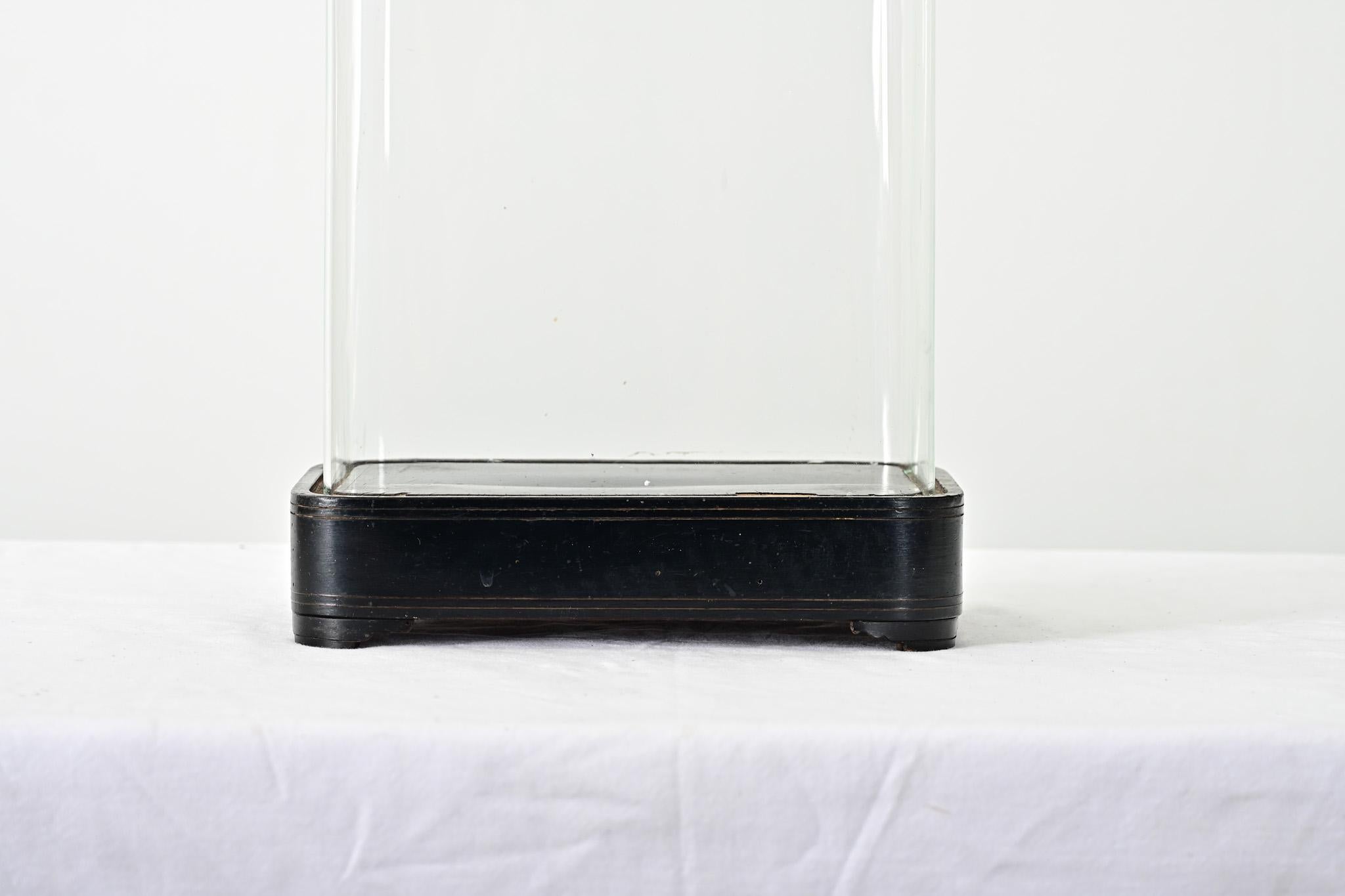 Cúpula de cristal francesa del siglo XIX sobre soporte ebonizado Victoriano en venta