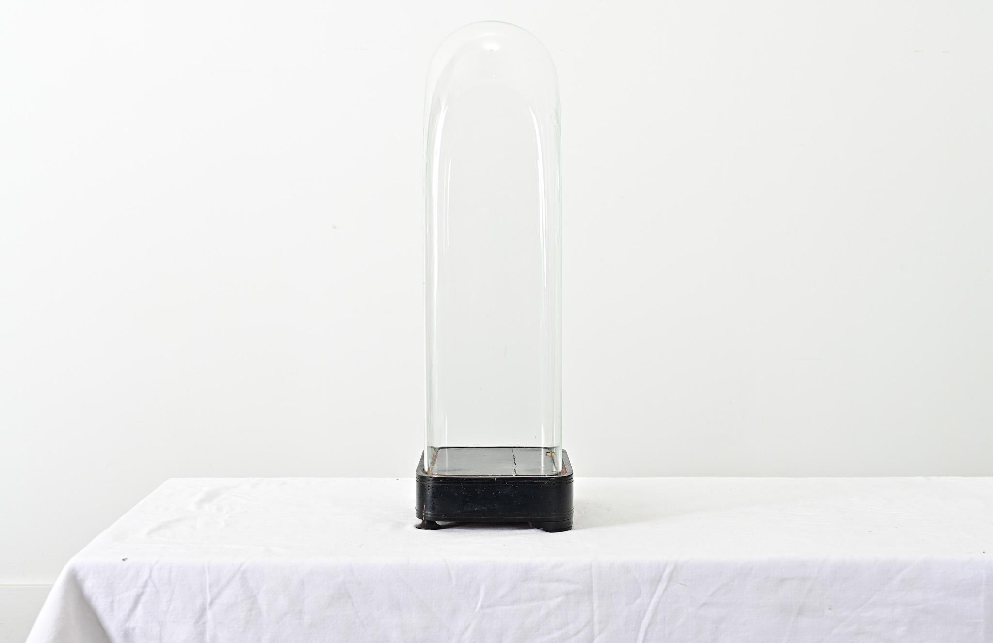Cúpula de cristal francesa del siglo XIX sobre soporte ebonizado en venta 2