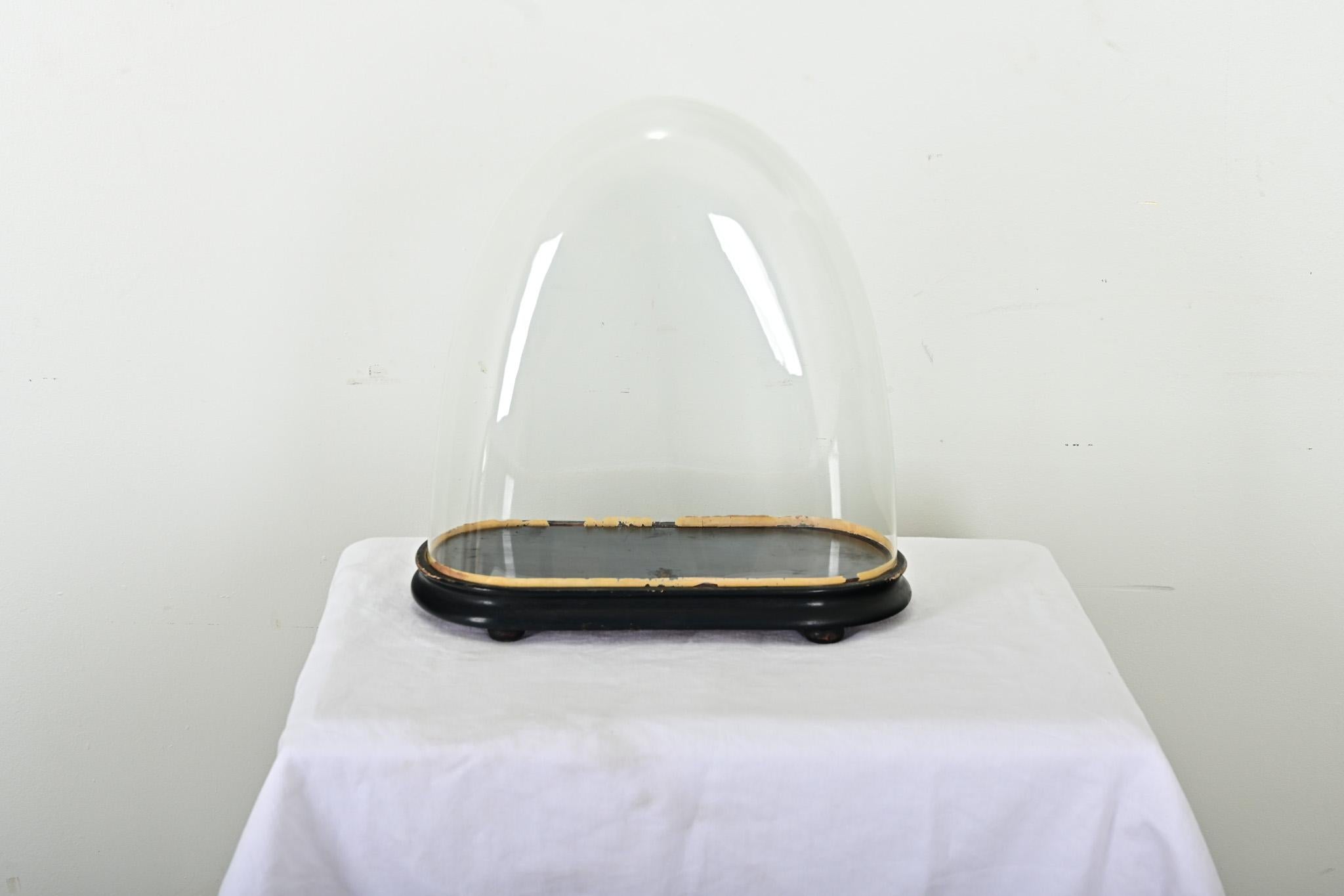 Showcase and protect your treasured objects with this unique glass dome from France. Dating to the late 19th century, dome displays like this shielded portico clocks or flora & fauna specimens from dust, soot, and insects while remaining totally