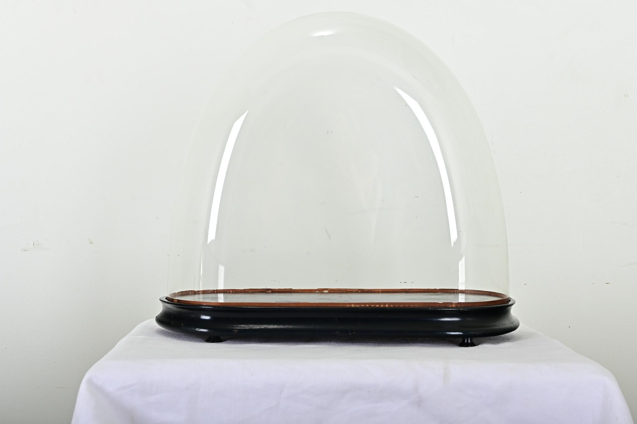 Showcase and protect your treasured objects with this unique glass dome from France. Dating to the late 19th century, dome displays like this shielded portico clocks or flora & fauna specimens from dust, soot, and insects while remaining totally