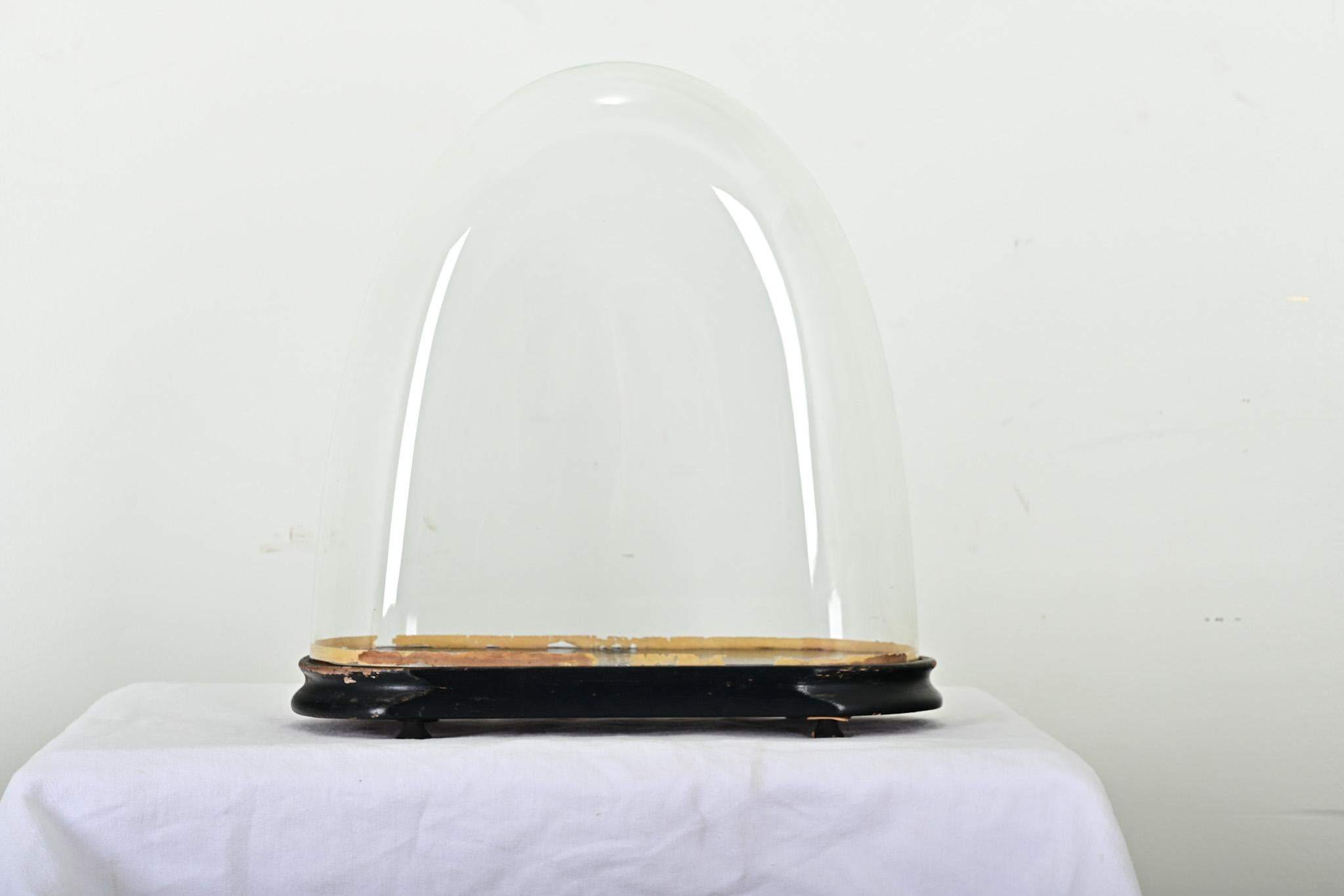 Other French 19th Century Glass Dome on Pedestal