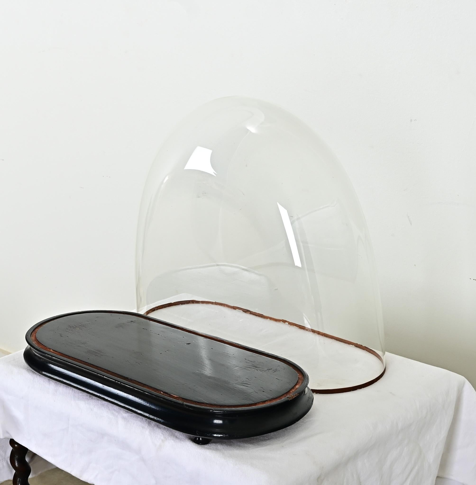 Other French 19th Century Glass Dome on Pedestal For Sale