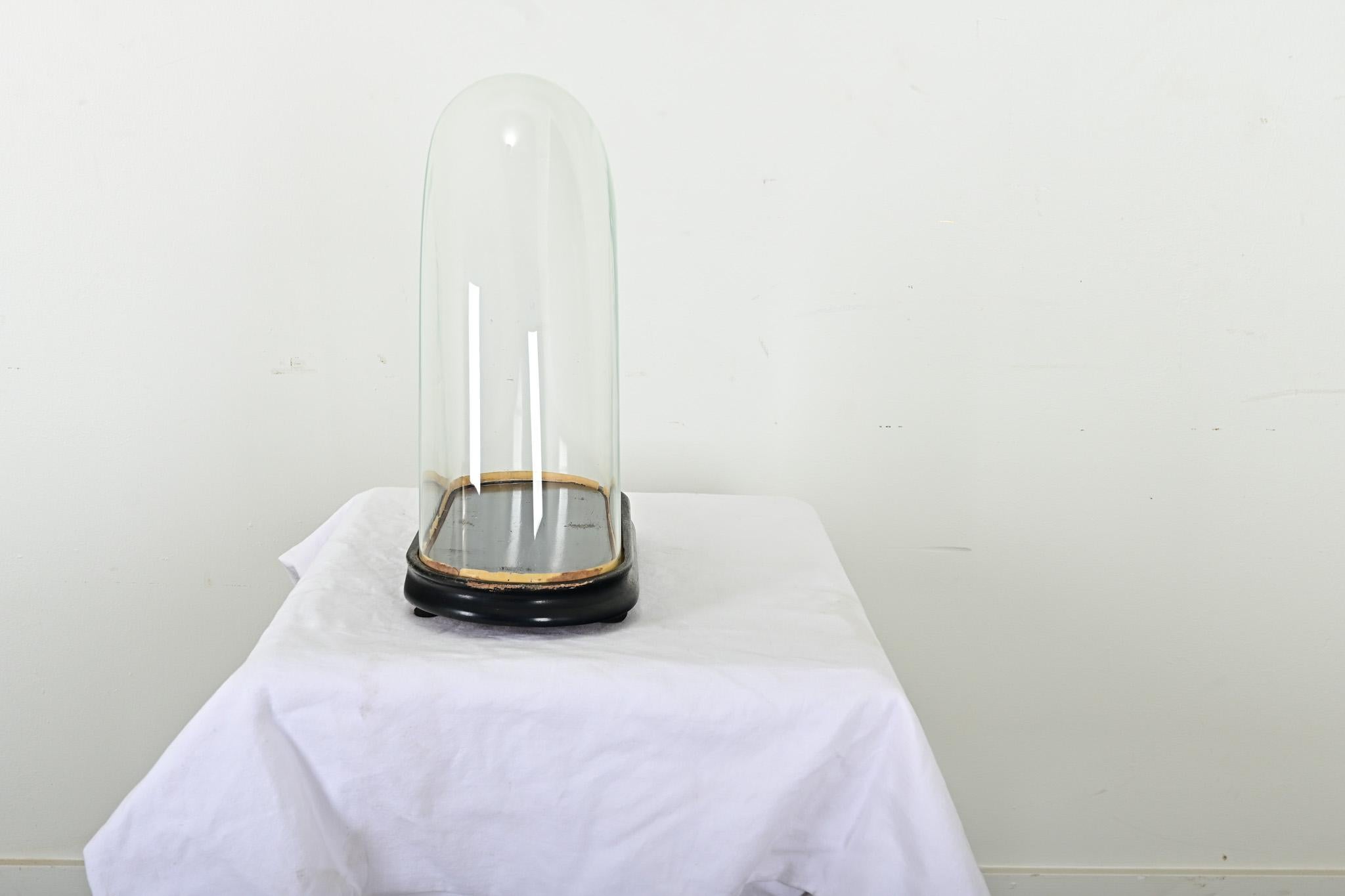 French 19th Century Glass Dome on Pedestal In Good Condition In Baton Rouge, LA