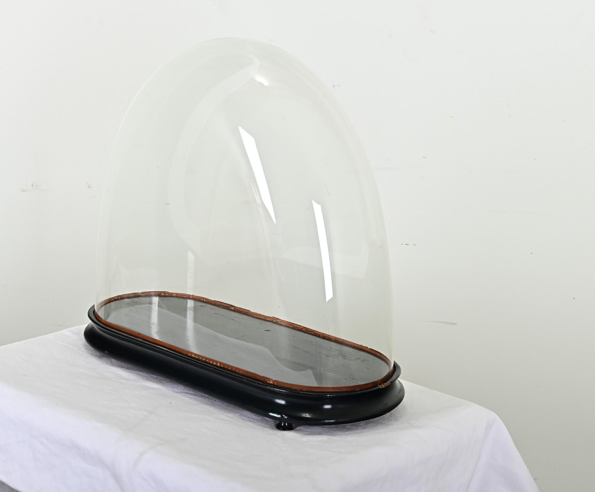 French 19th Century Glass Dome on Pedestal In Good Condition For Sale In Baton Rouge, LA