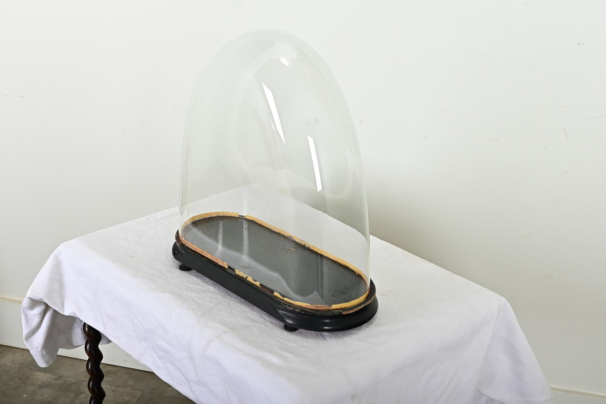 French 19th Century Glass Dome on Pedestal 1