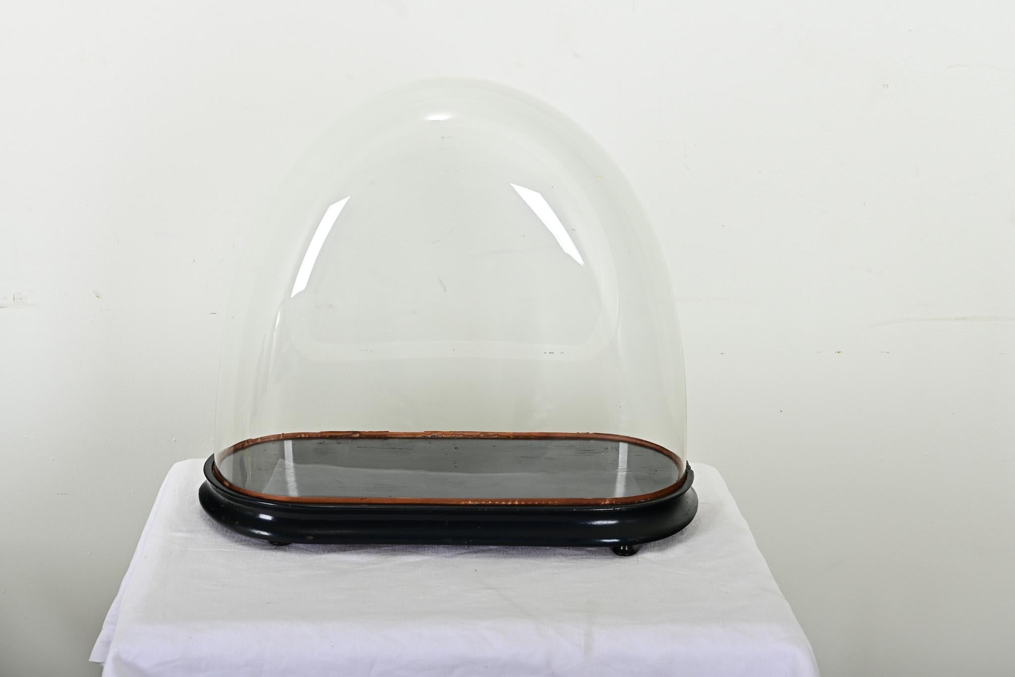 French 19th Century Glass Dome on Pedestal For Sale 1