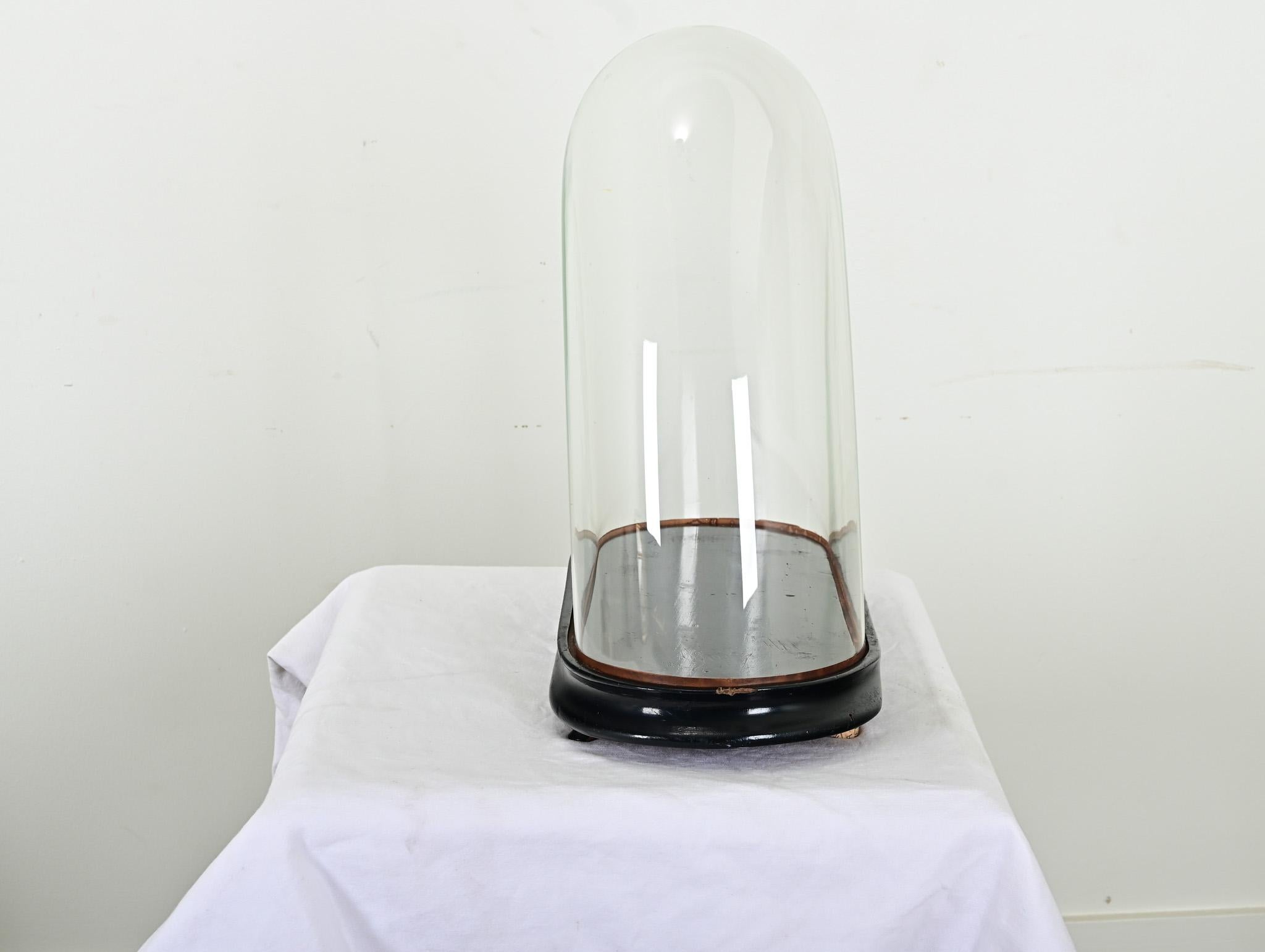 French 19th Century Glass Dome on Pedestal For Sale 2