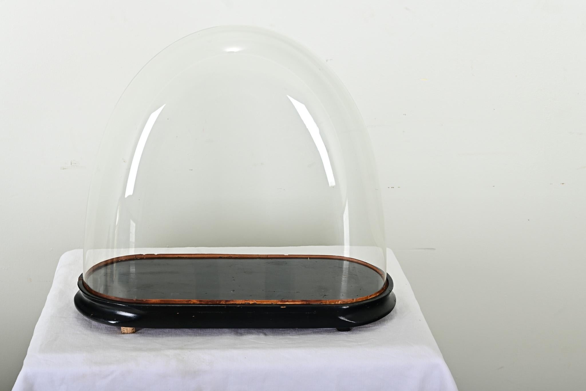 French 19th Century Glass Dome on Pedestal For Sale 3
