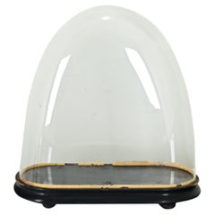 French 19th Century Glass Dome on Pedestal