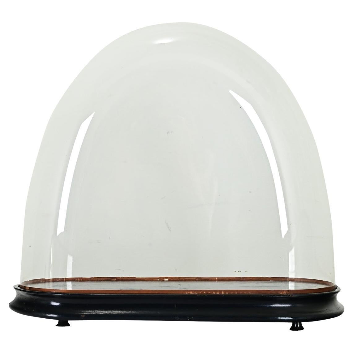 French 19th Century Glass Dome on Pedestal