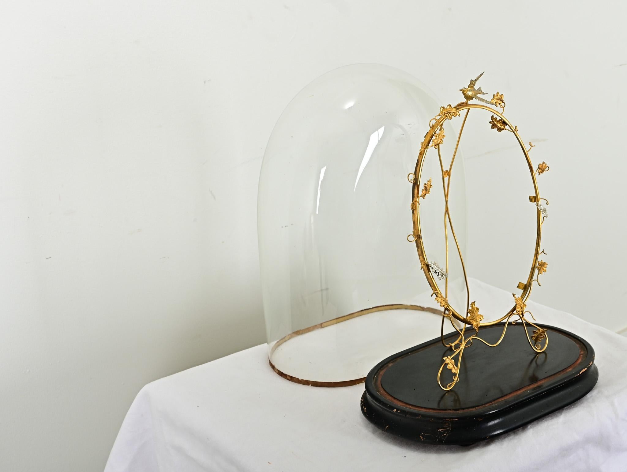 French 19th Century Glass Dome with Brass Decoration For Sale 4