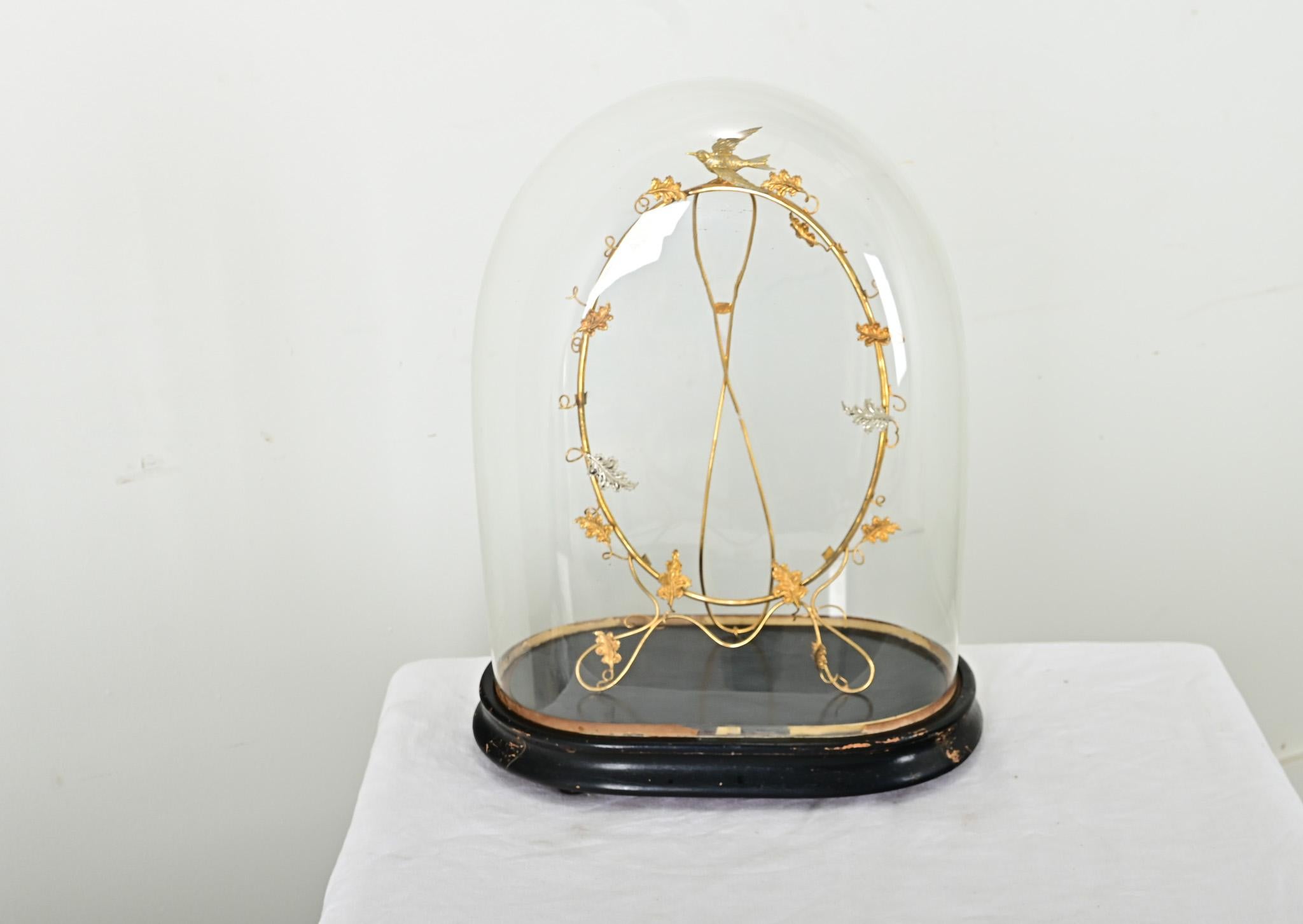 Silver French 19th Century Glass Dome with Brass Decoration For Sale
