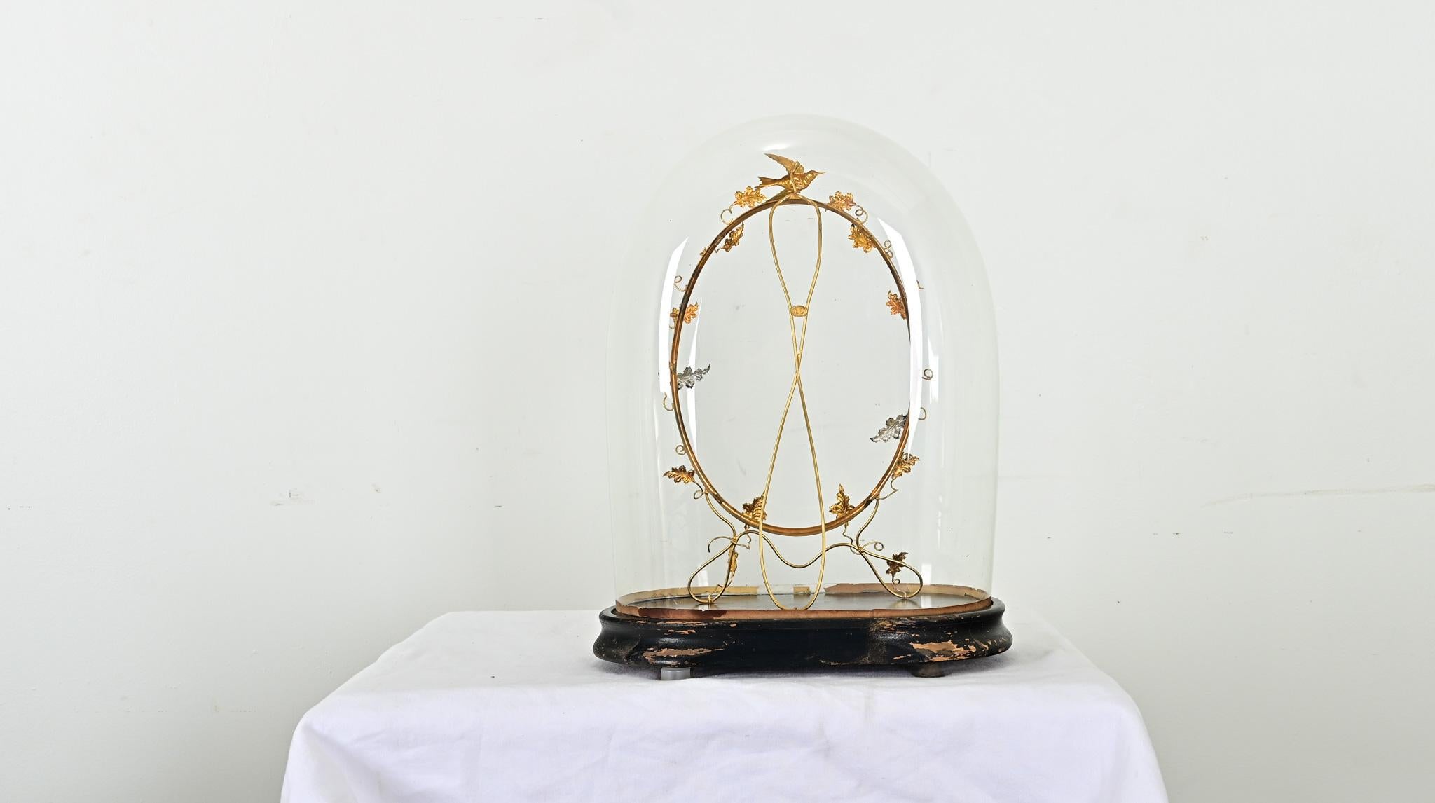 French 19th Century Glass Dome with Brass Decoration For Sale 1
