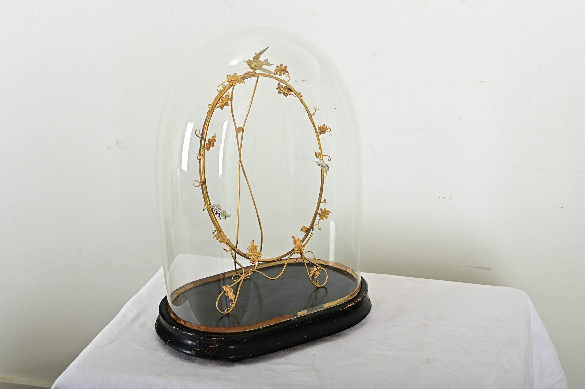 French 19th Century Glass Dome with Brass Decoration For Sale 2