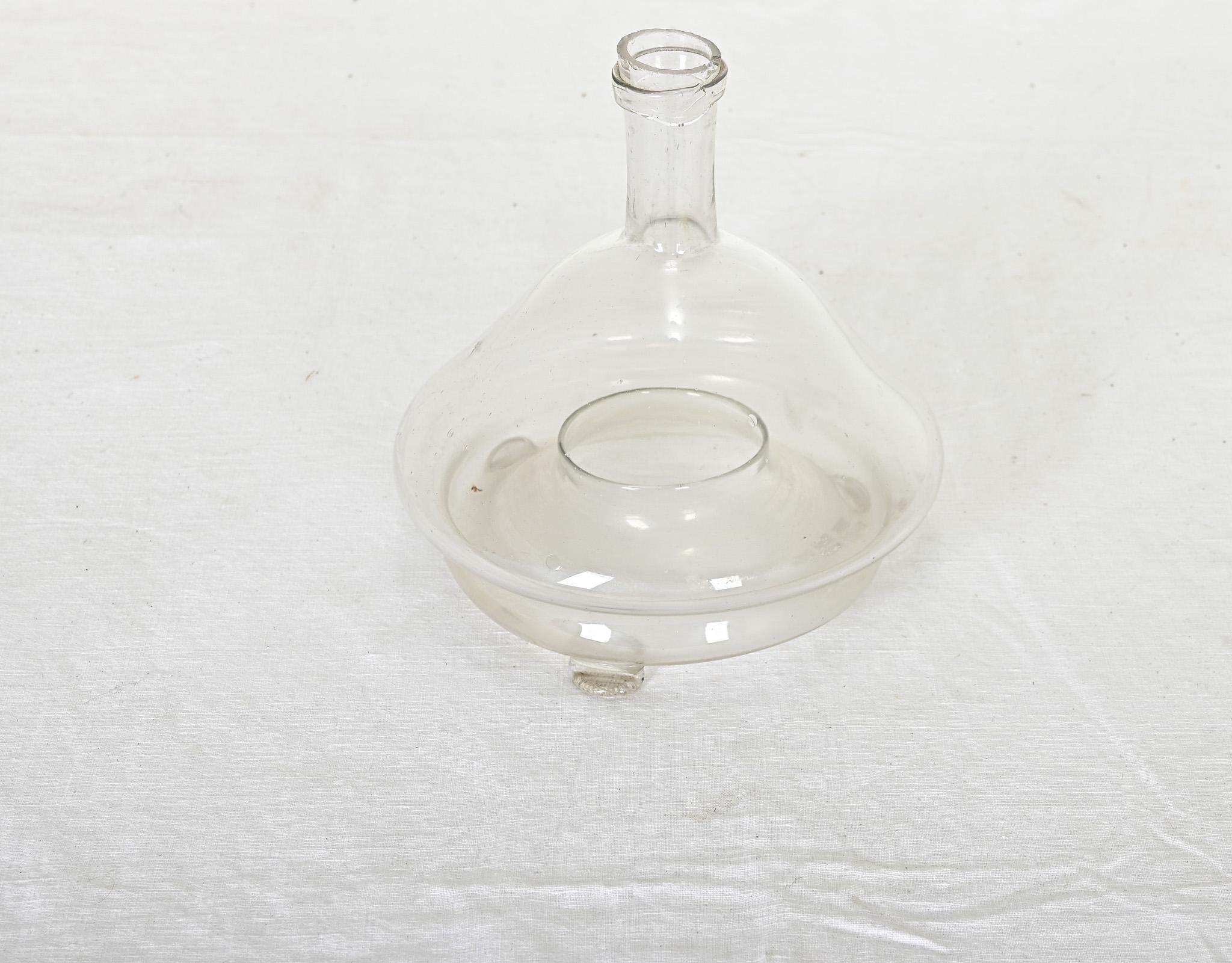XIXe siècle Attrape-mouches en verre français du 19e siècle en vente