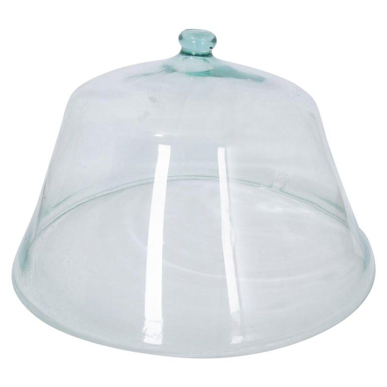 French 19th Century Glass Melon Cloche For Sale at 1stDibs