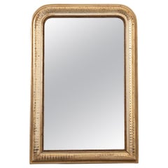 French 19th Century Gold Gilt Louis Philippe-Style Mirror