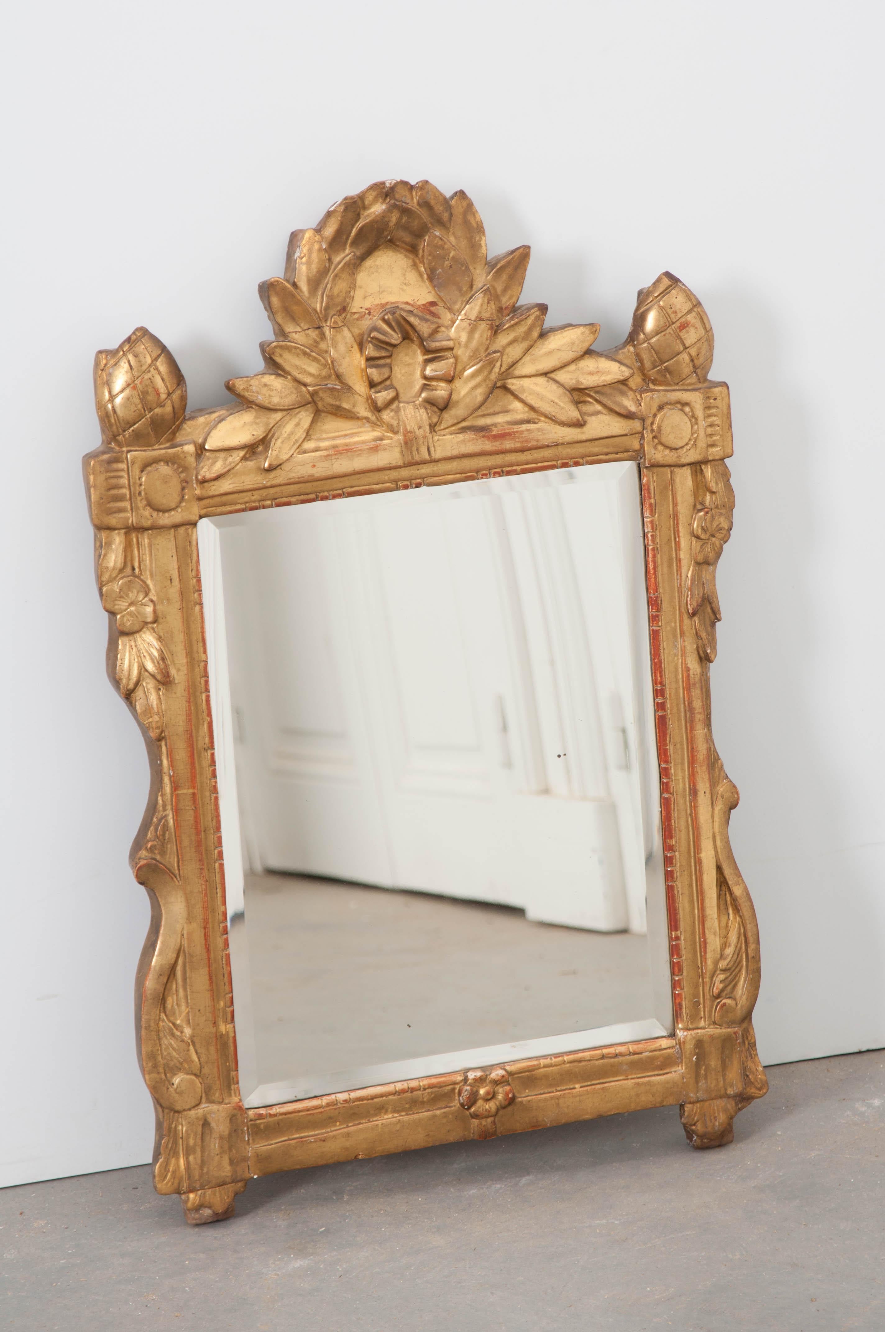 Carved French 19th Century Gold Gilt Louis XVI Mirror