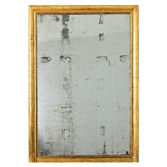 French 19th Century Gold Gilt Mantle Mirror