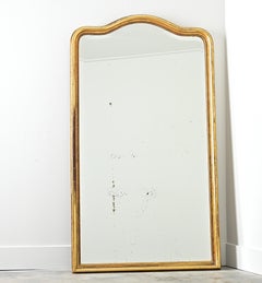 French 19th Century Gold Gilt Mirror