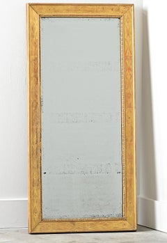 French 19th Century Gold Gilt Mirror