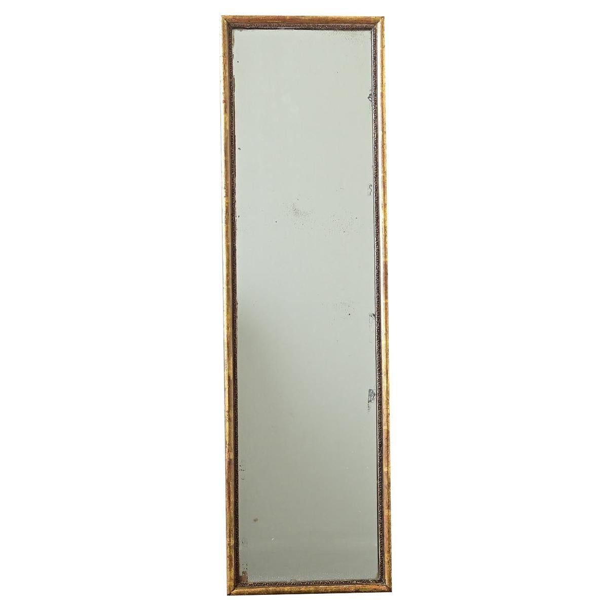 French 19th Century Gold Gilt Mirror