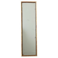 French 19th Century Gold Gilt Mirror