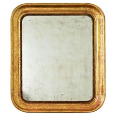 French 19th Century Gold Gilt Mirror