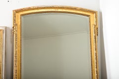 French 19th Century Gold Gilt Overmantel Mirror