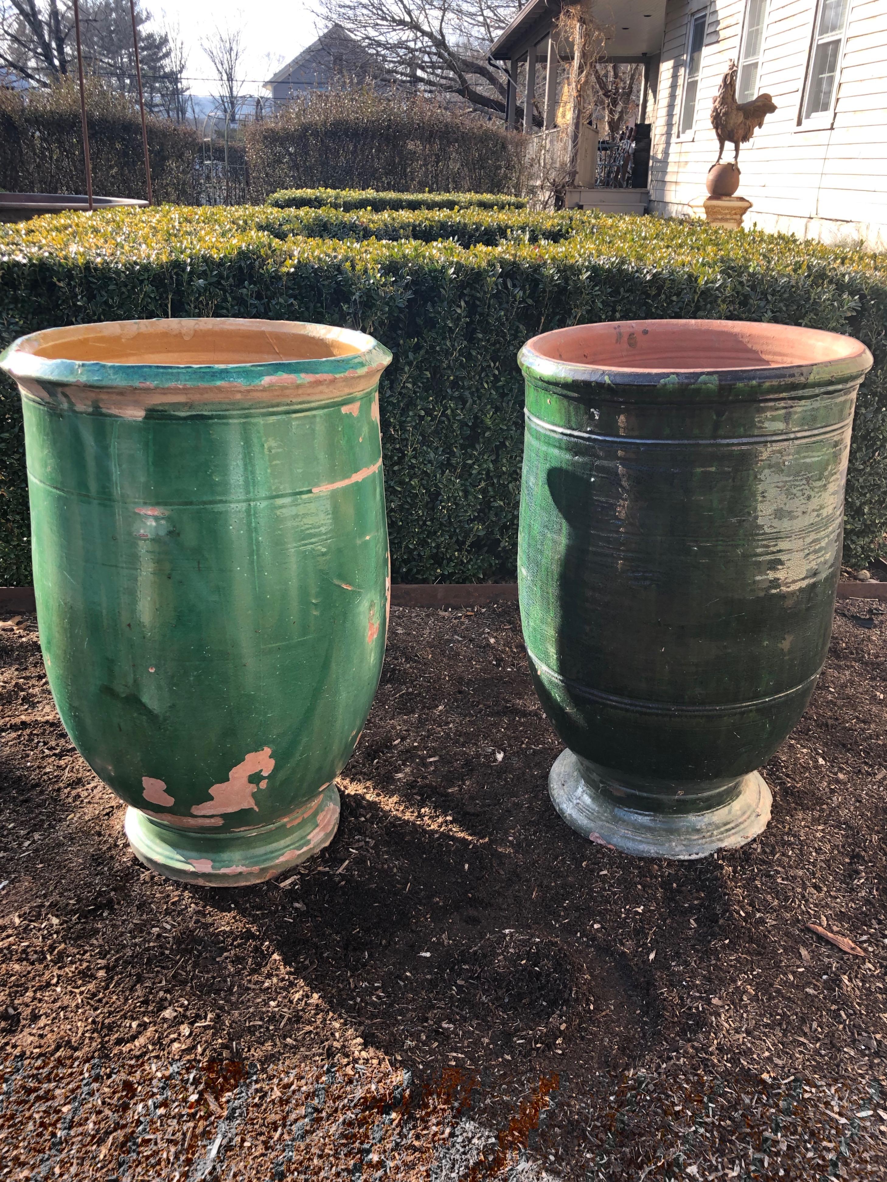 French 19th Century Green-Glazed Terracotta Pot from Apt 9
