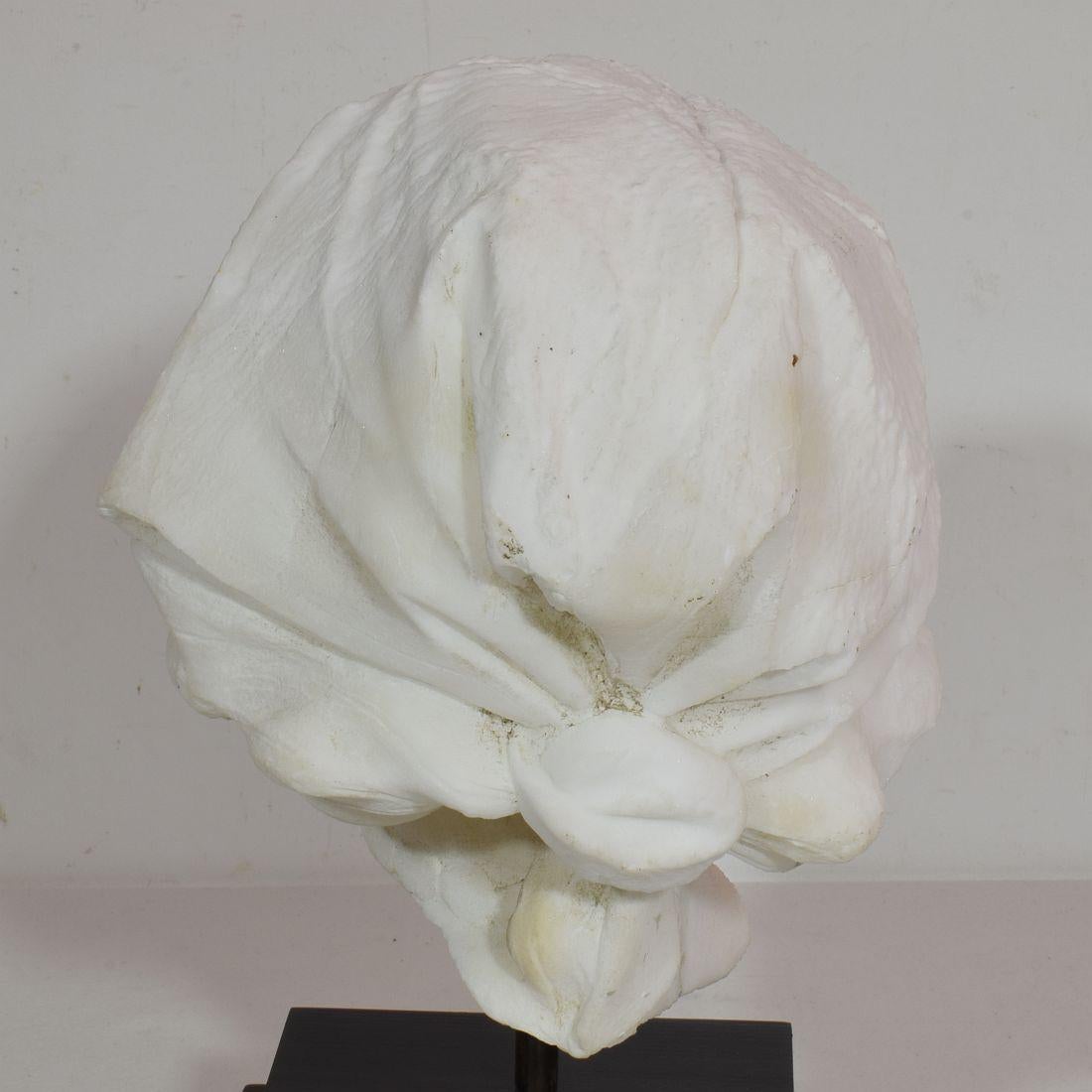 French 19th Century Hand carved White Marble Head 6