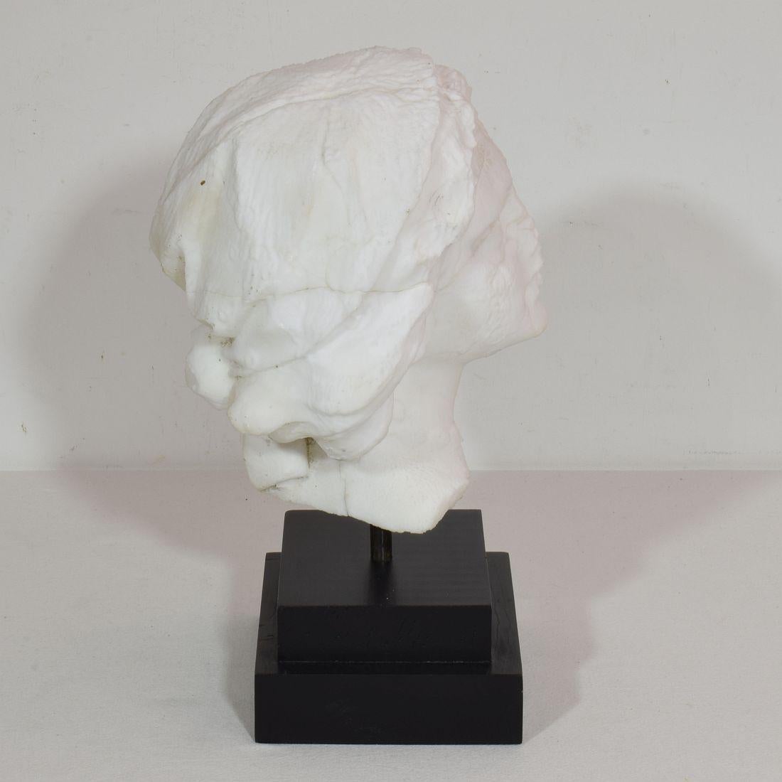 Hand-Carved French 19th Century Hand carved White Marble Head