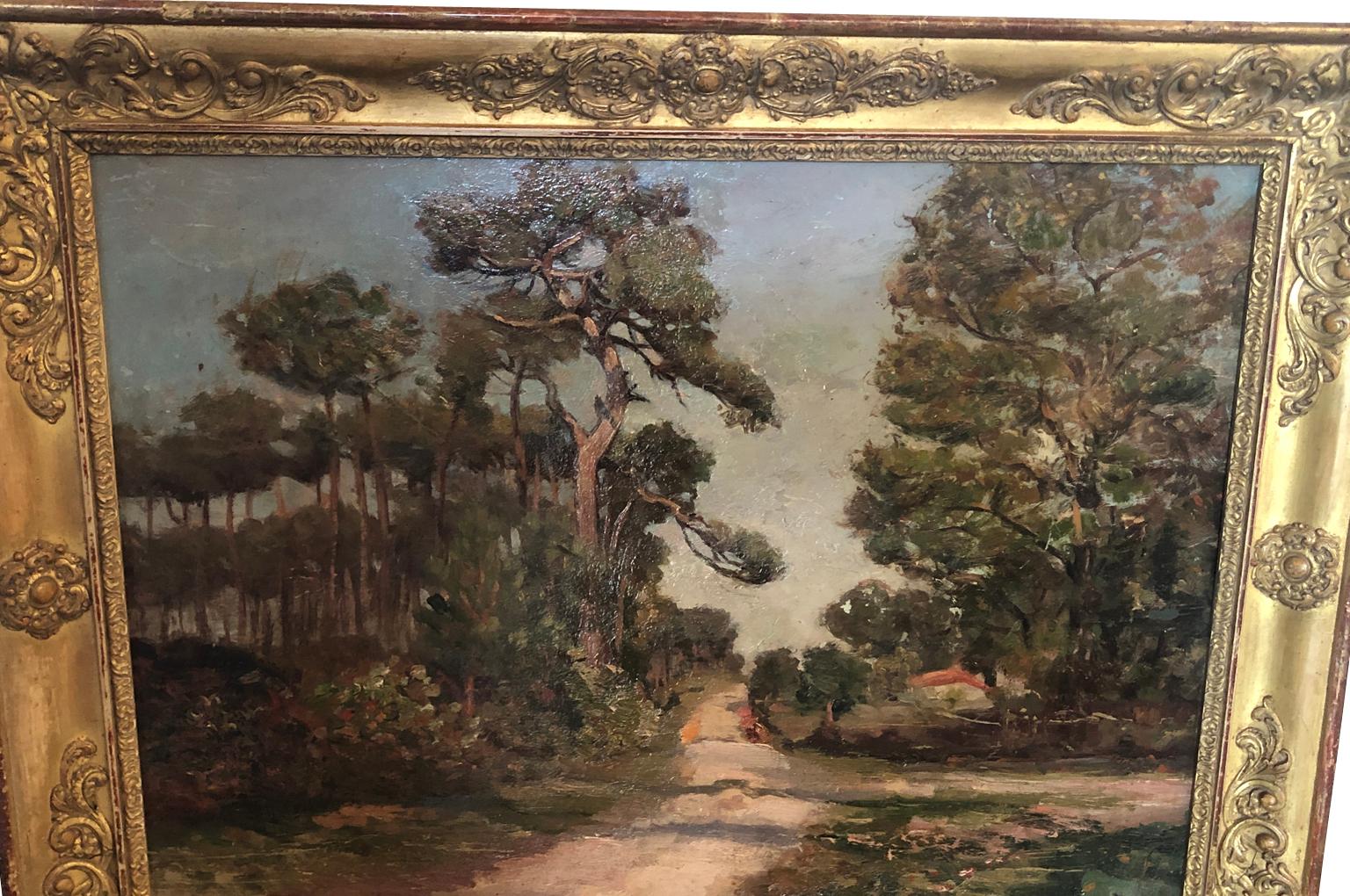 A very beautiful late 19th-early 20th century oil painting housed in its period Restoration giltwood frame. A lovely subject matter depicting the Pines of Les Landes, in the French Basque region. Wonderful brush work and texture.