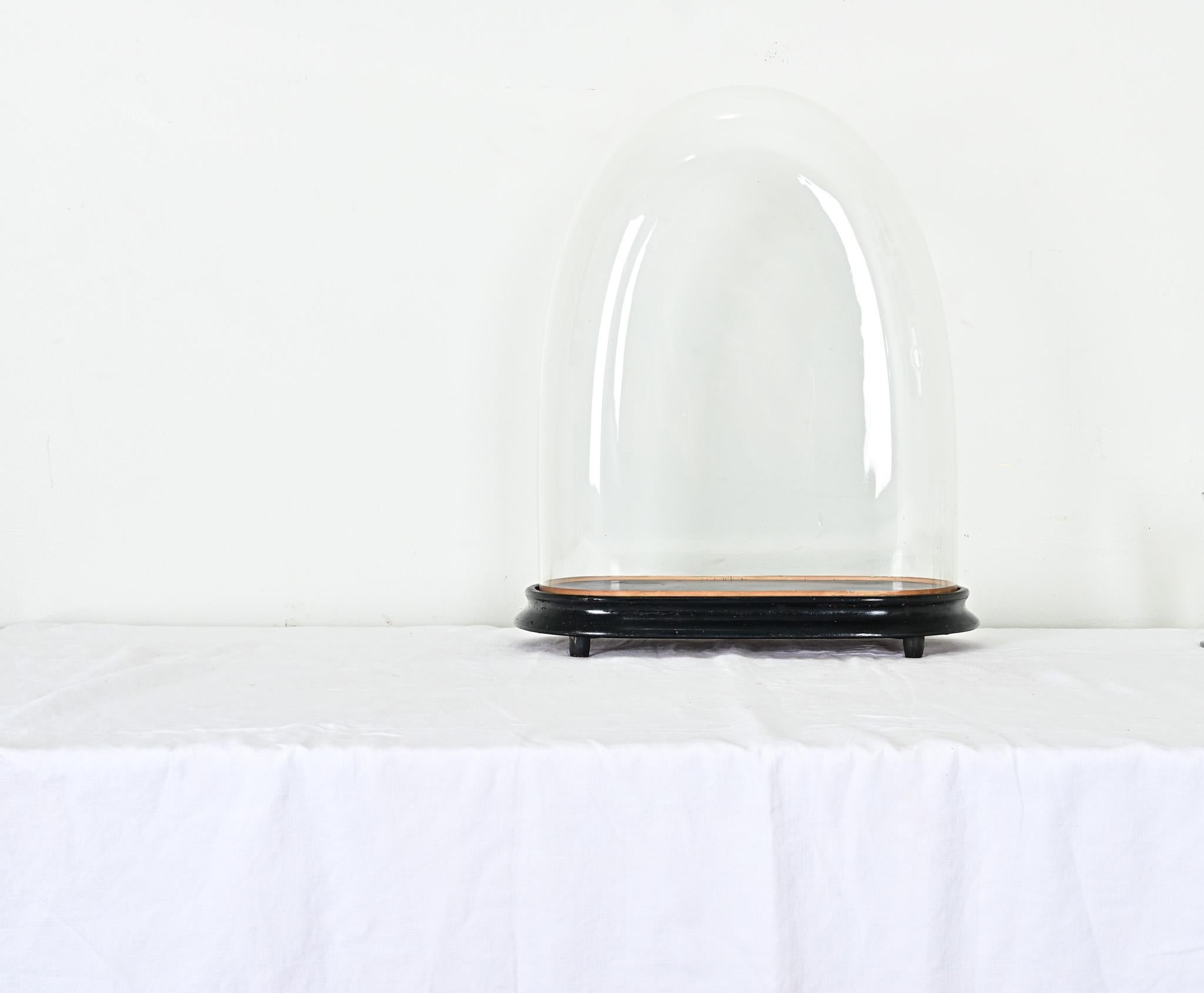 Showcase and protect your treasured objects with this unique glass dome from France. Dating to the late 19th century, dome displays like this shielded portico clocks or flora & fauna specimens from dust, soot, and insects while remaining totally