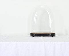 French 19th Century Large Glass Dome on Stand