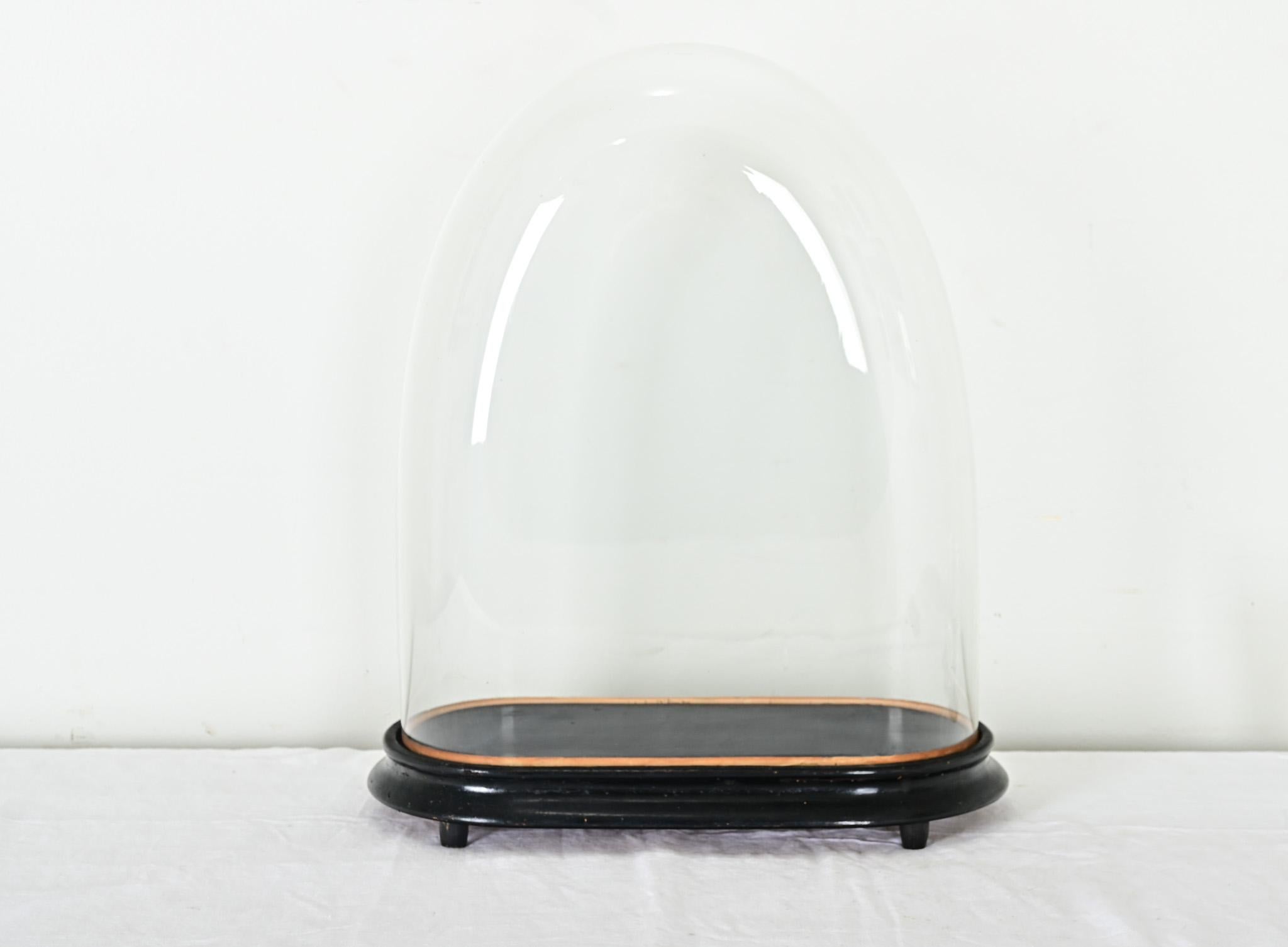 Other French 19th Century Large Glass Dome on Stand