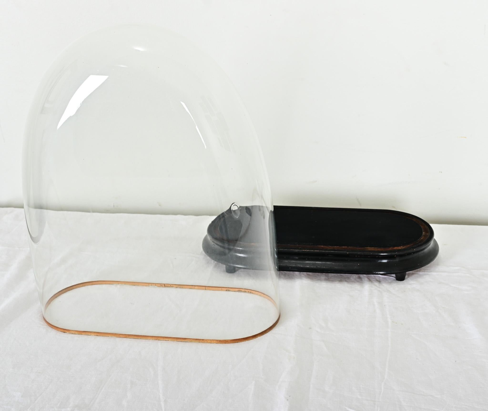 Other French 19th Century Large Glass Dome on Stand