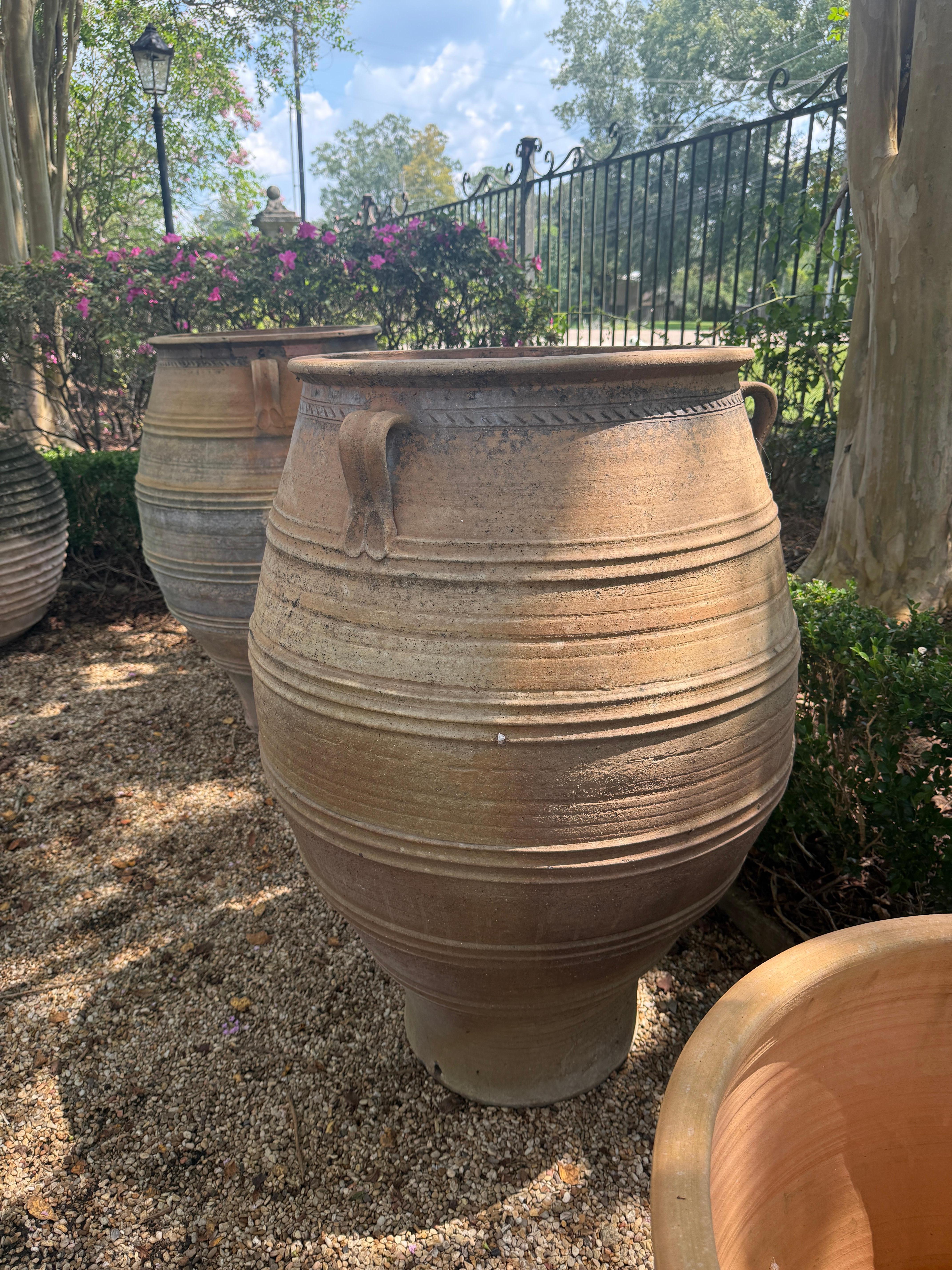 Gran tarro de aceitunas de terracota francés del siglo XIX Provincial francés en venta