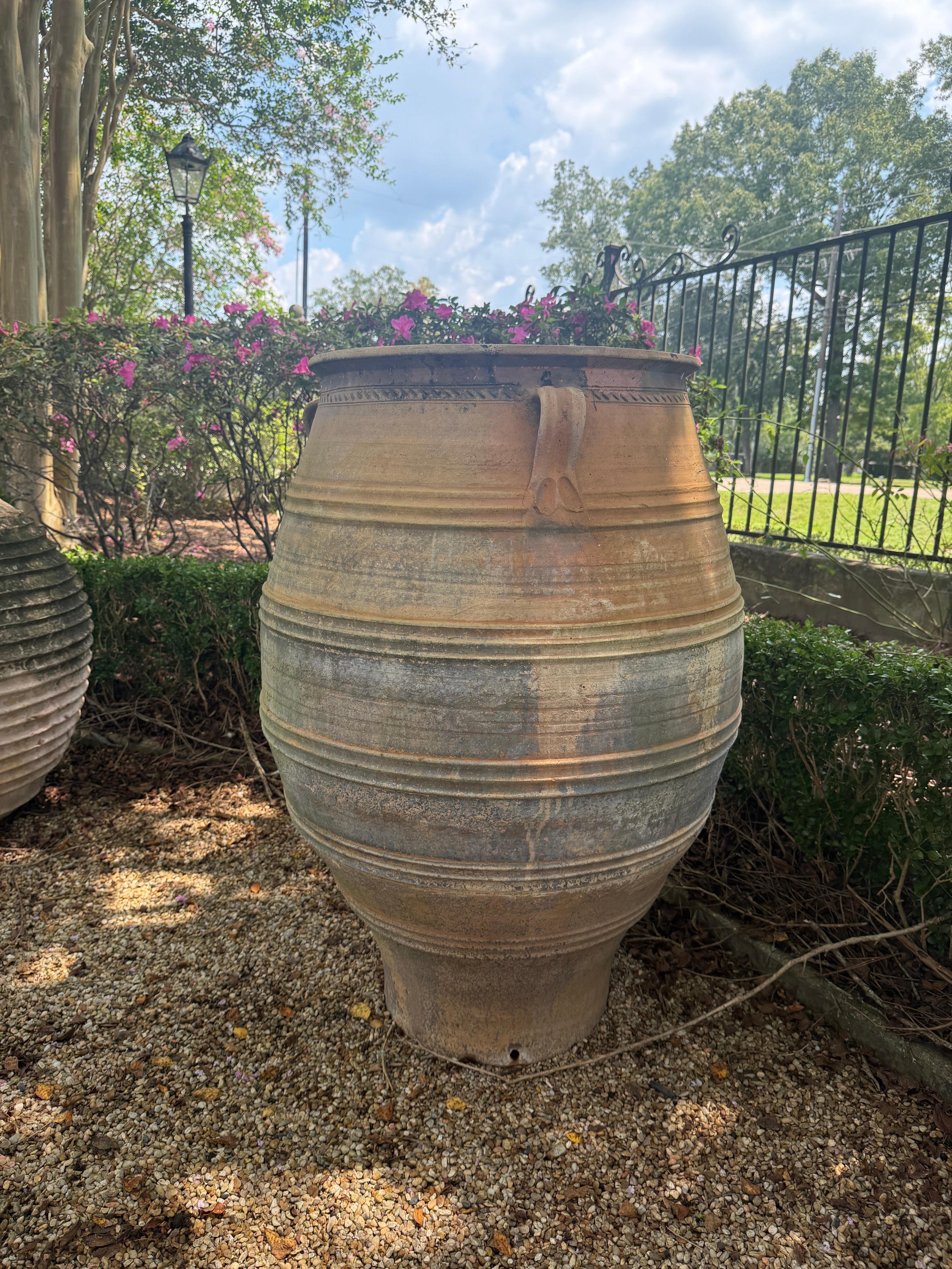 Gran tarro de aceitunas de terracota francés del siglo XIX Provincial francés en venta
