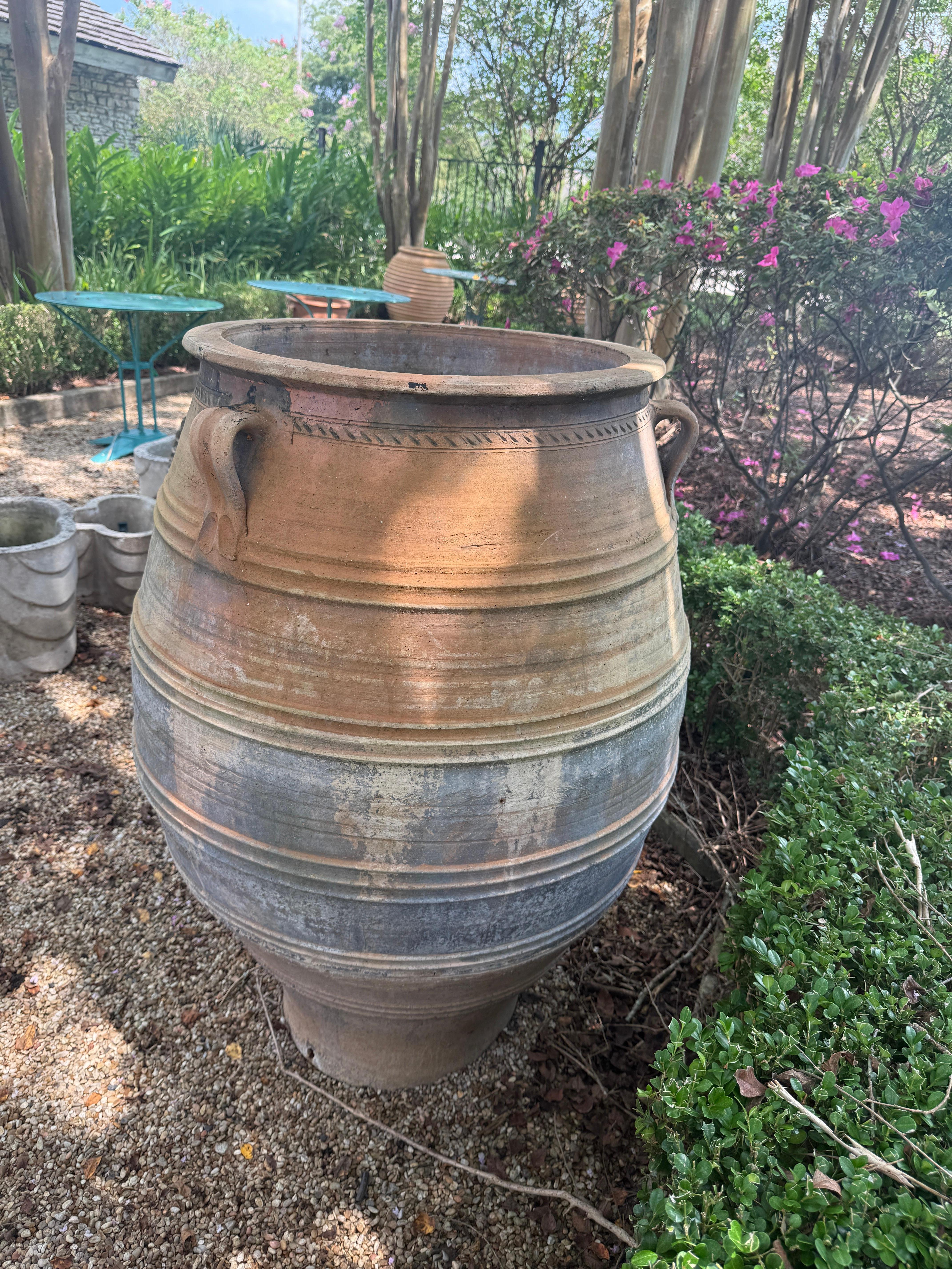 Gran tarro de aceitunas de terracota francés del siglo XIX Francés en venta