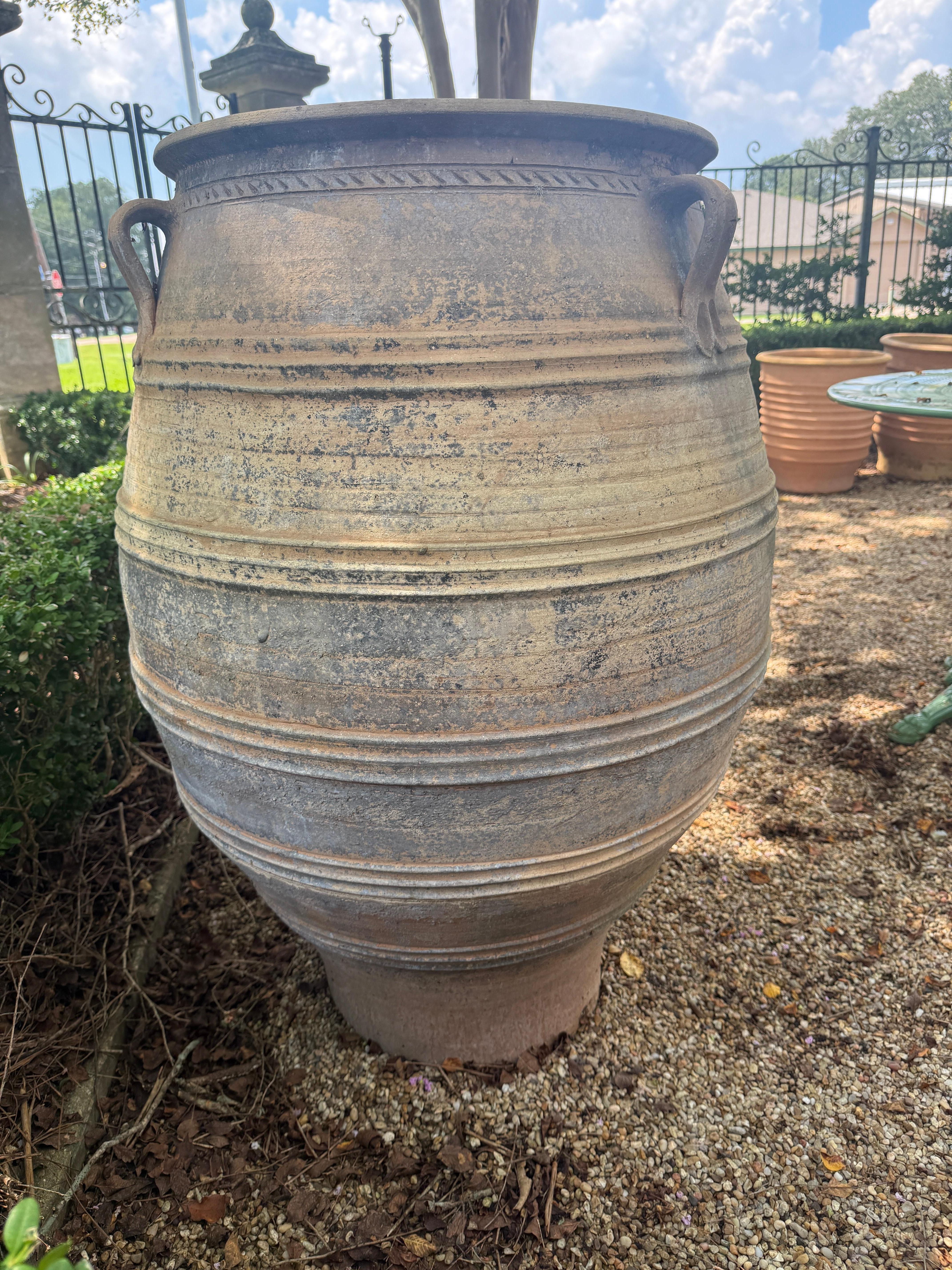 Gran tarro de aceitunas de terracota francés del siglo XIX Hecho a mano en venta
