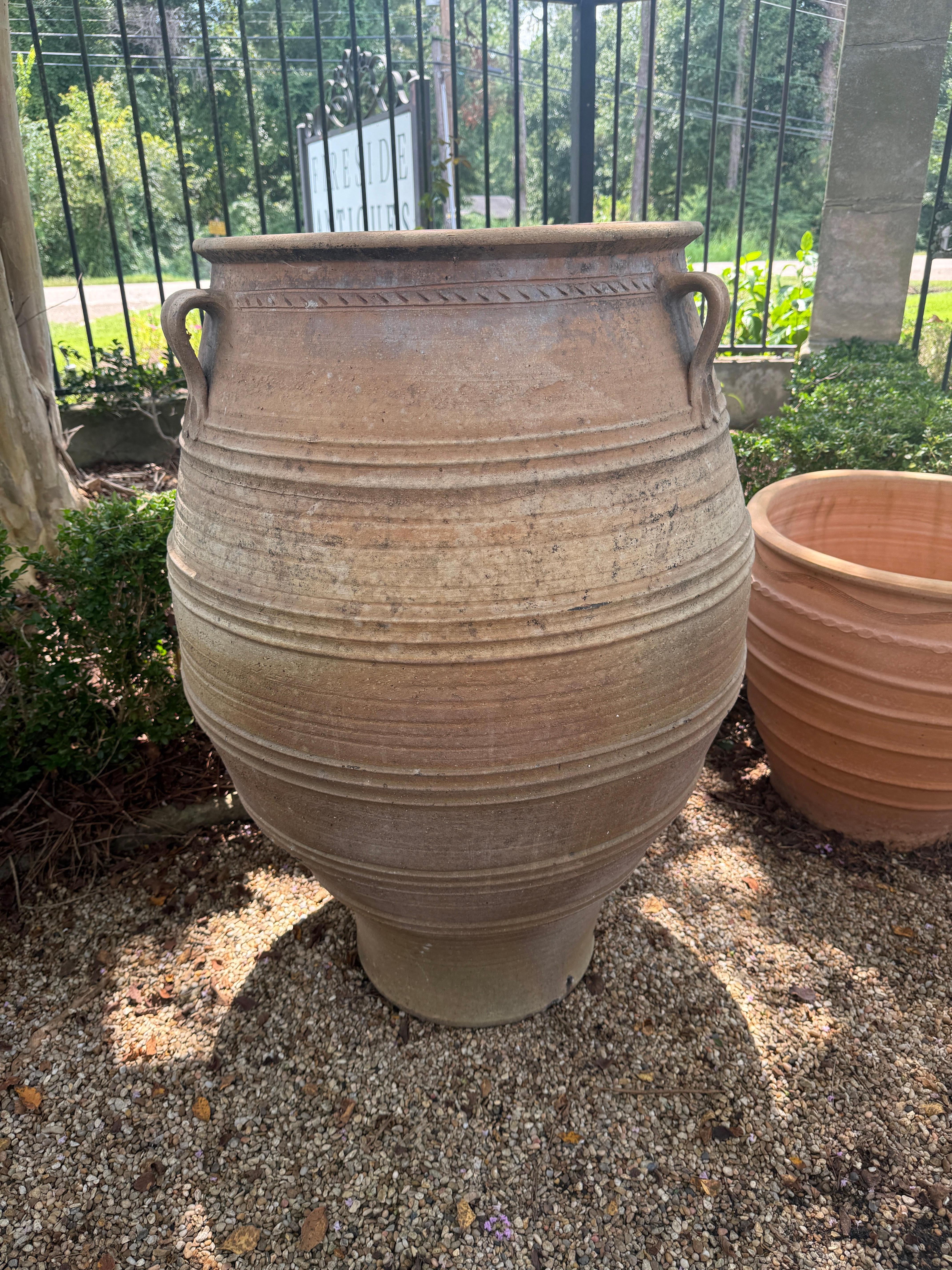 Gran tarro de aceitunas de terracota francés del siglo XIX en Bueno estado para la venta en Baton Rouge, LA