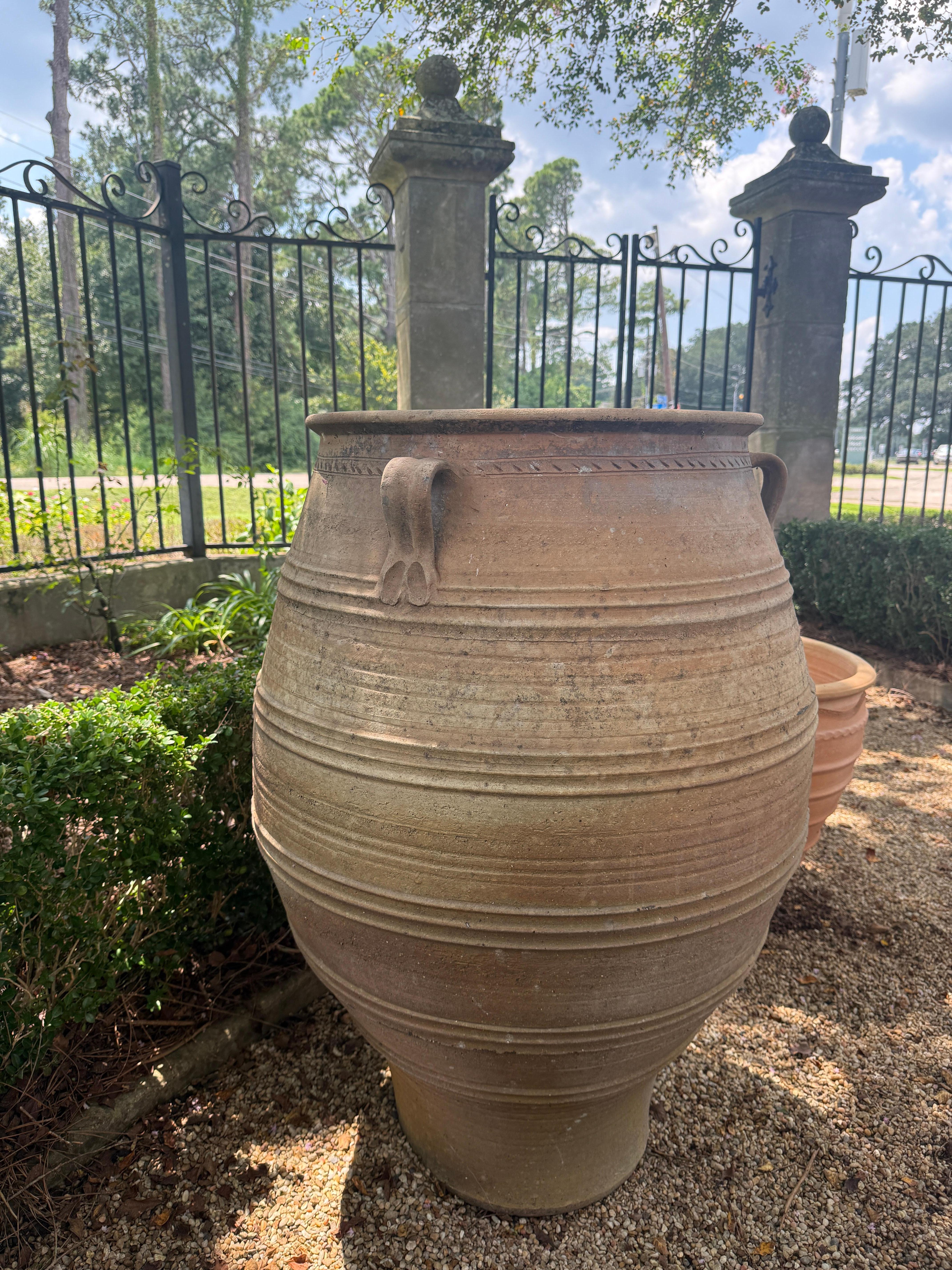 Gran tarro de aceitunas de terracota francés del siglo XIX Terracota en venta