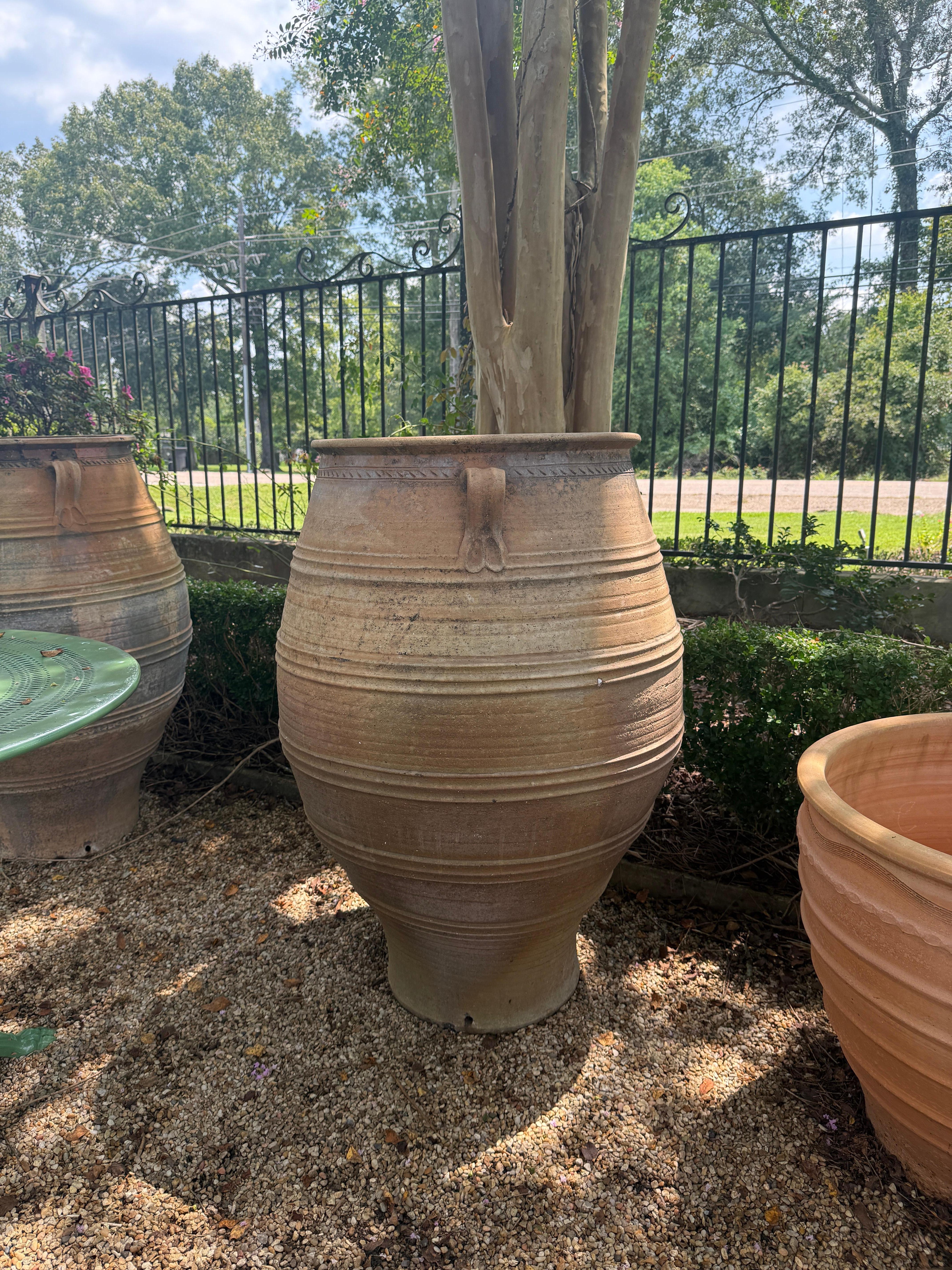 Gran tarro de aceitunas de terracota francés del siglo XIX en venta 1