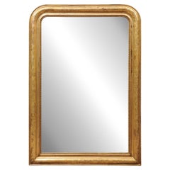 French 19th Century Louis Philippe Champagne Giltwood Mirror